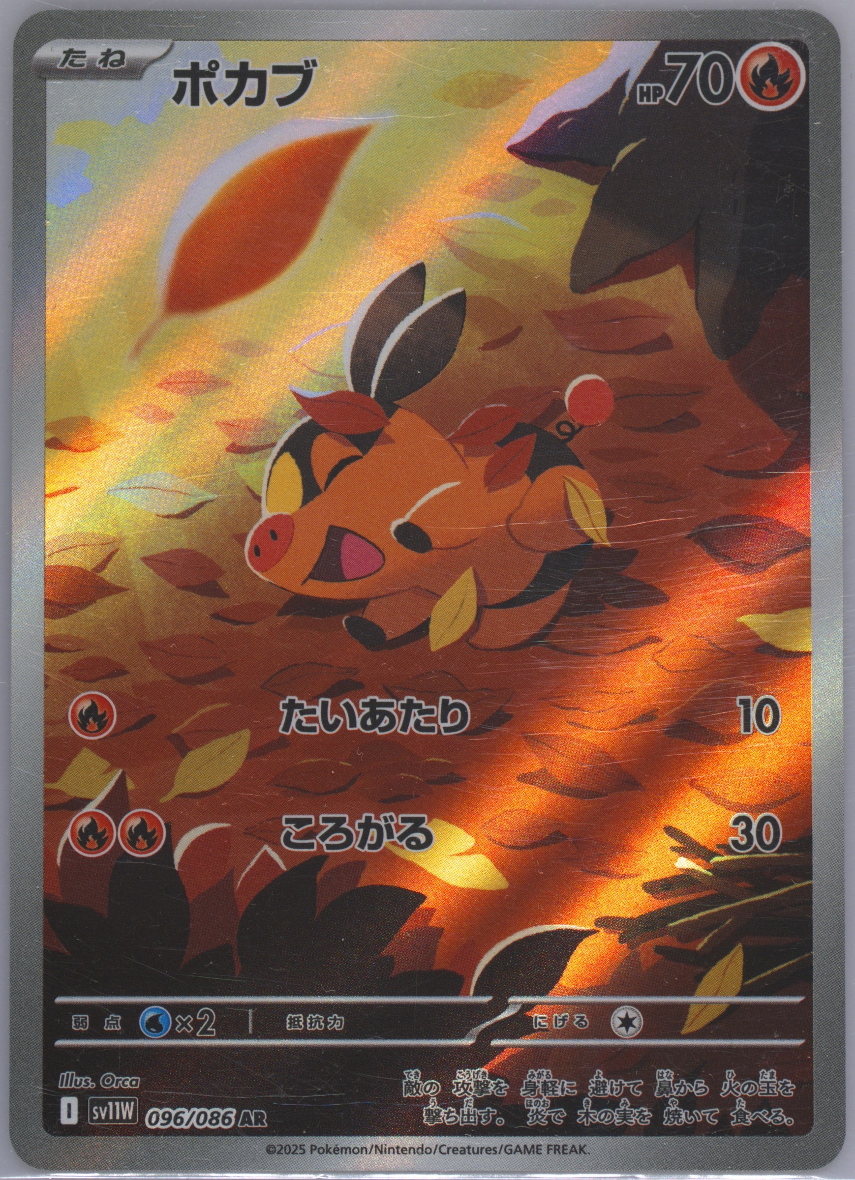 Tepig Illustration Rare (096) 2025 Pokemon Wht EN-White Flare - Pokmon Card Data Tepig Illustration Rare (096) 2025 Pokemon Wht EN-White Flare - Pokmon Card Data