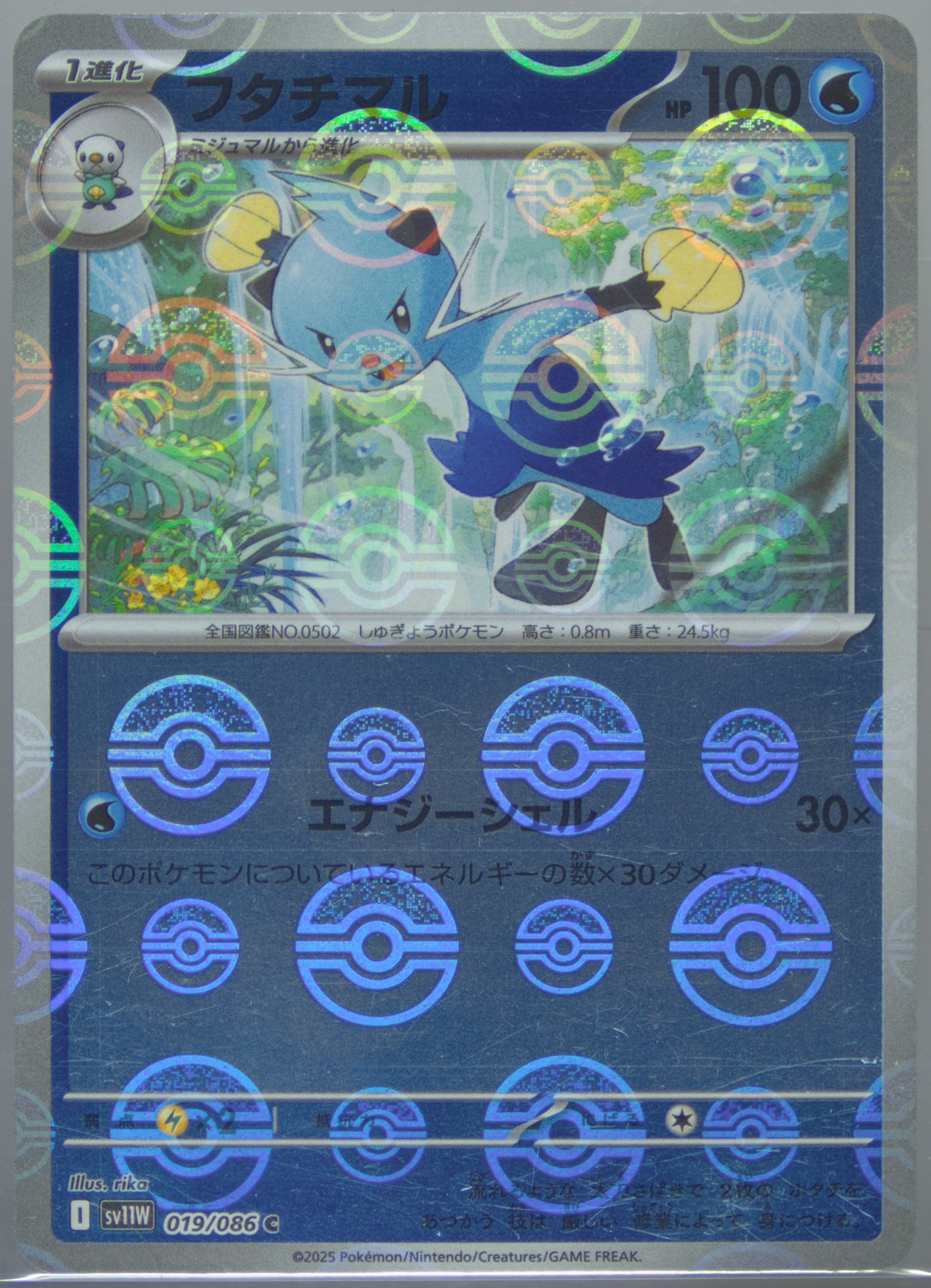 Dewott