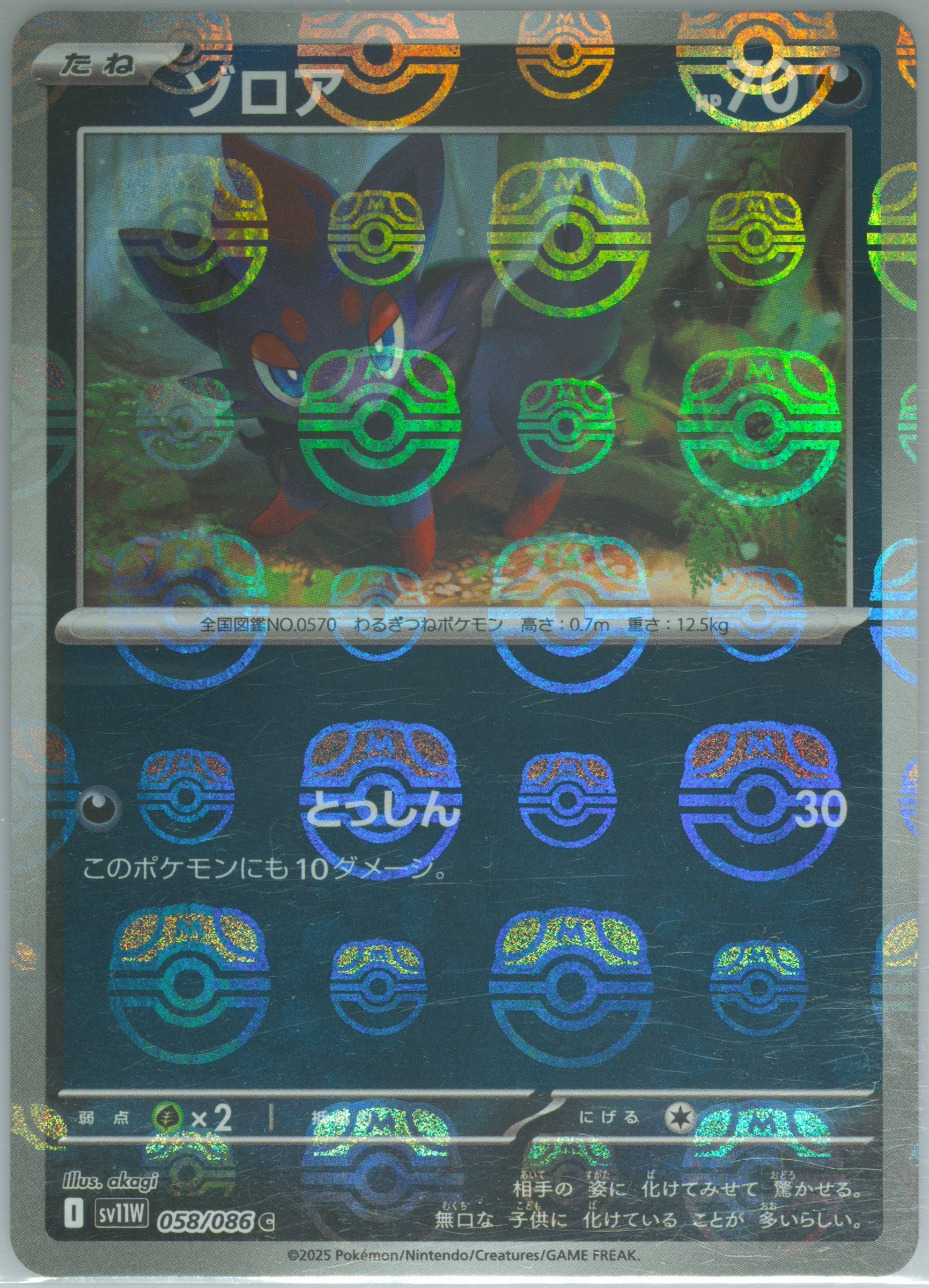 Zorua