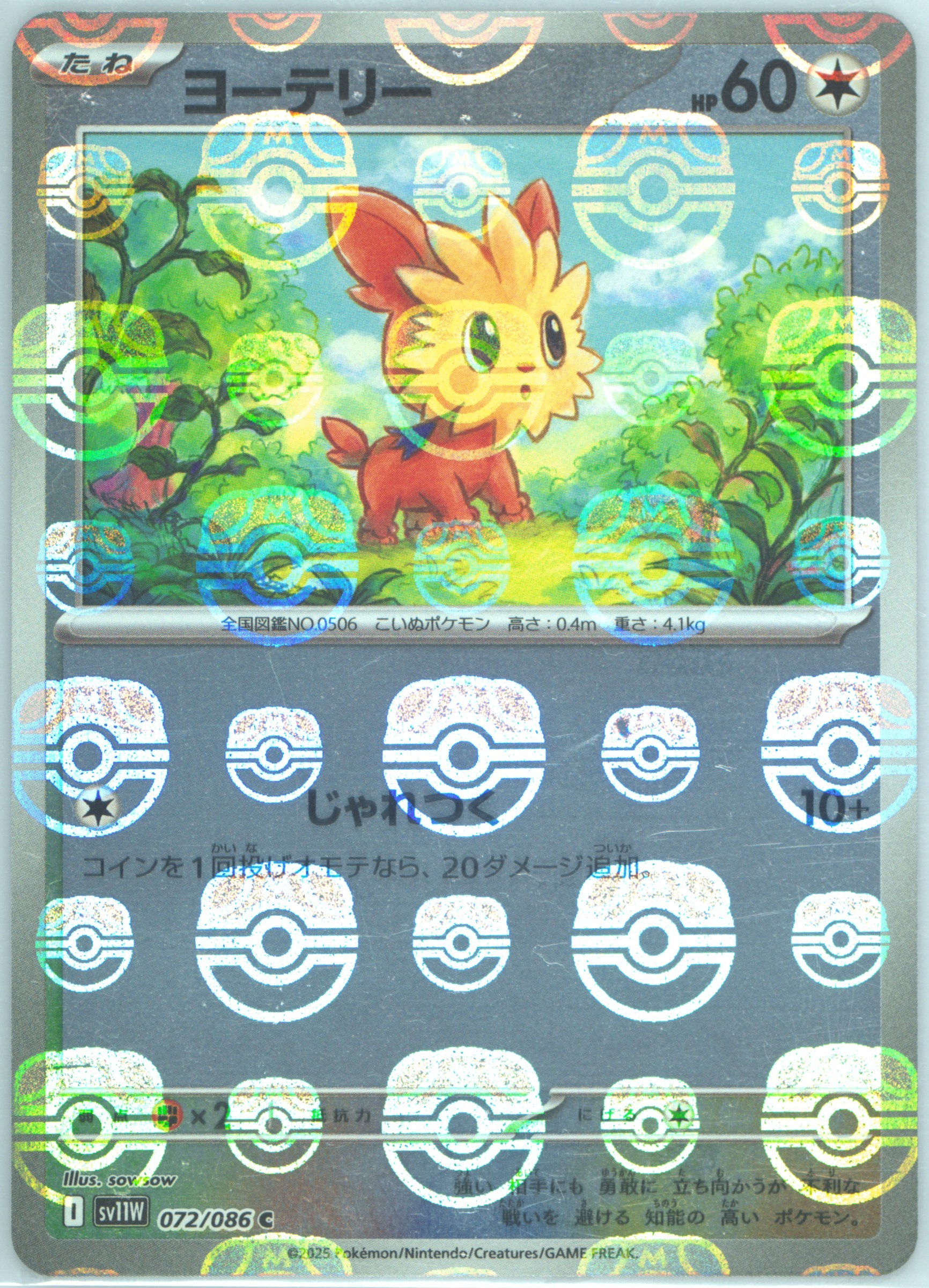 Lillipup