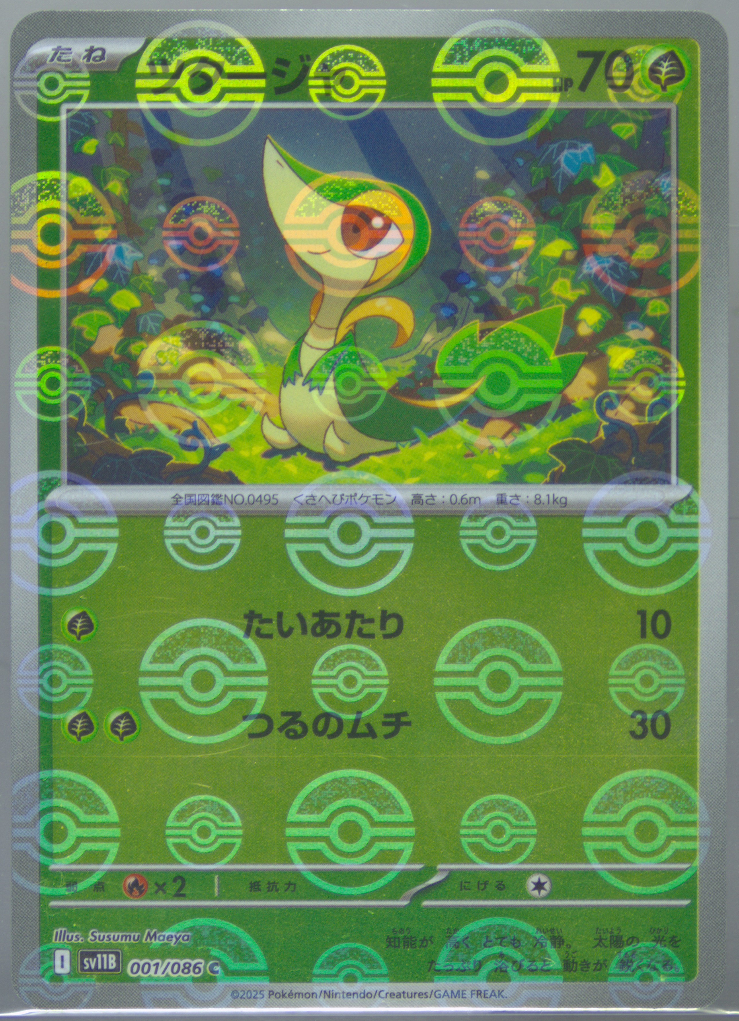 Snivy