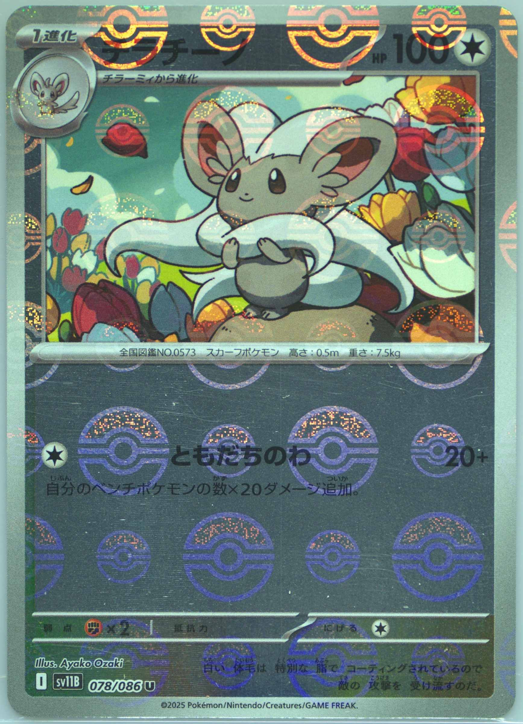 Cinccino