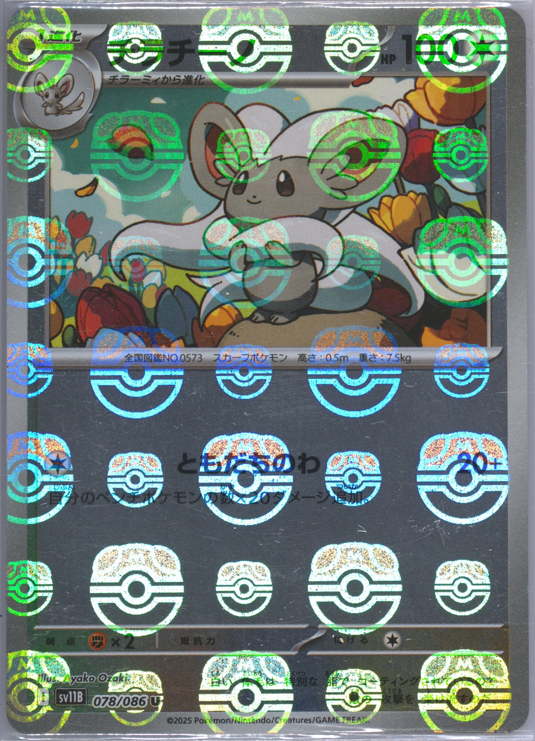 Cinccino