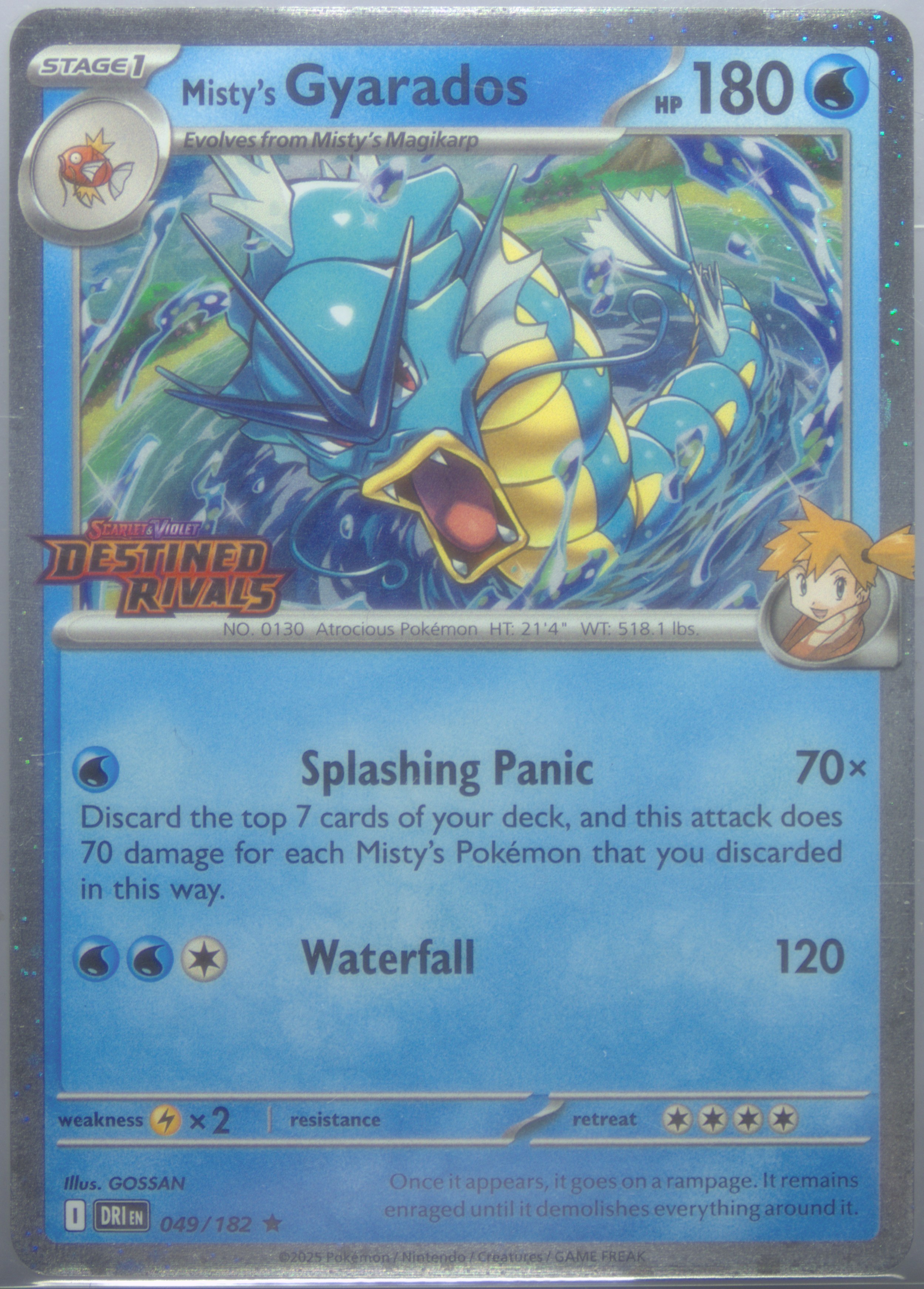 Misty's Gyarados