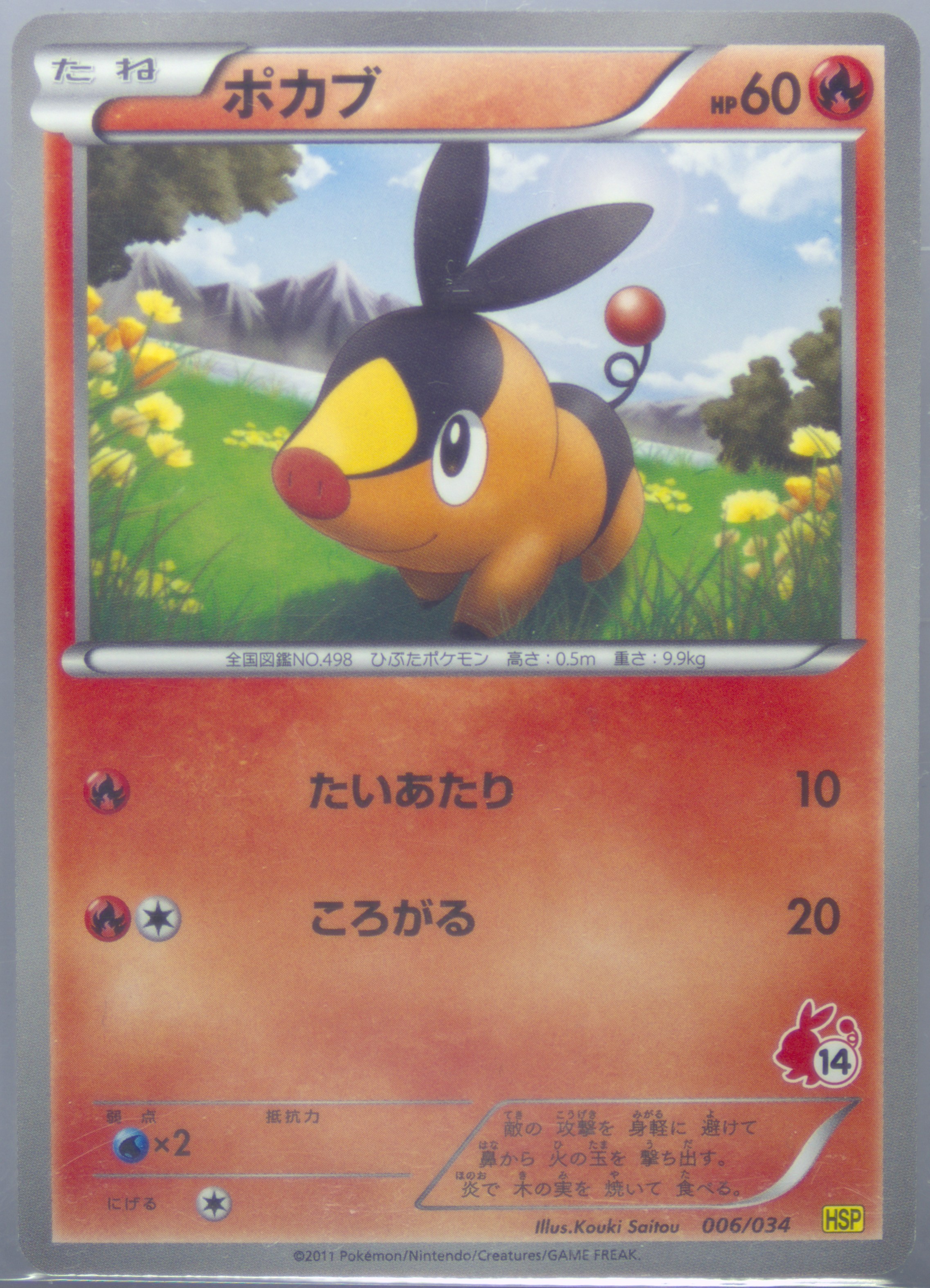 Tepig