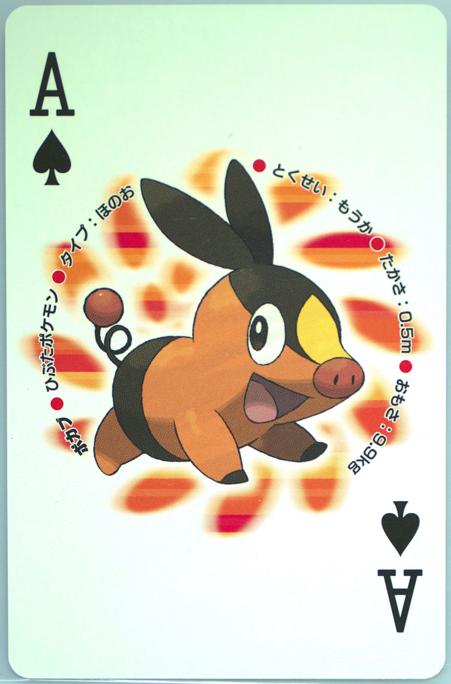 Tepig