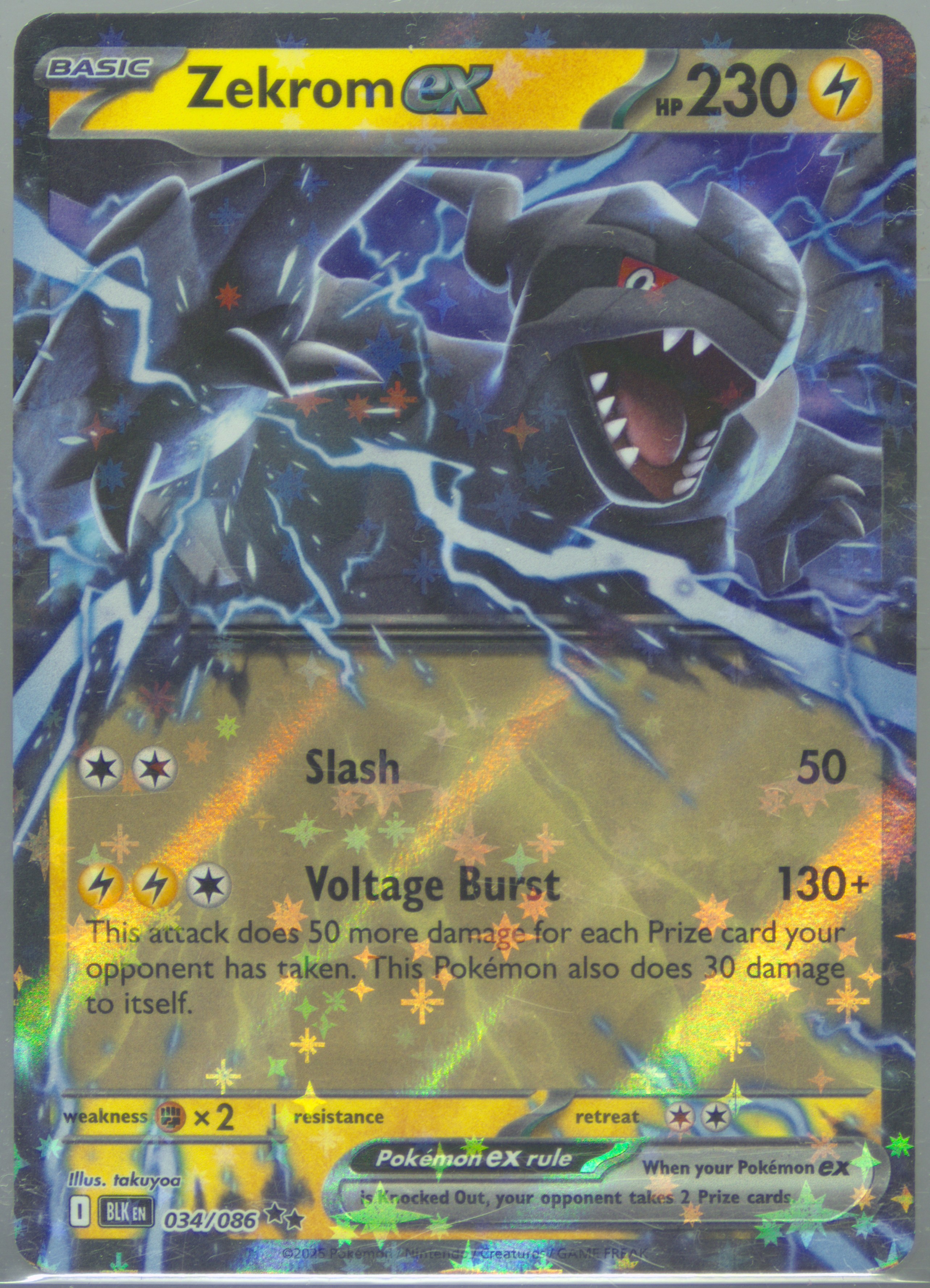 Zekrom EX