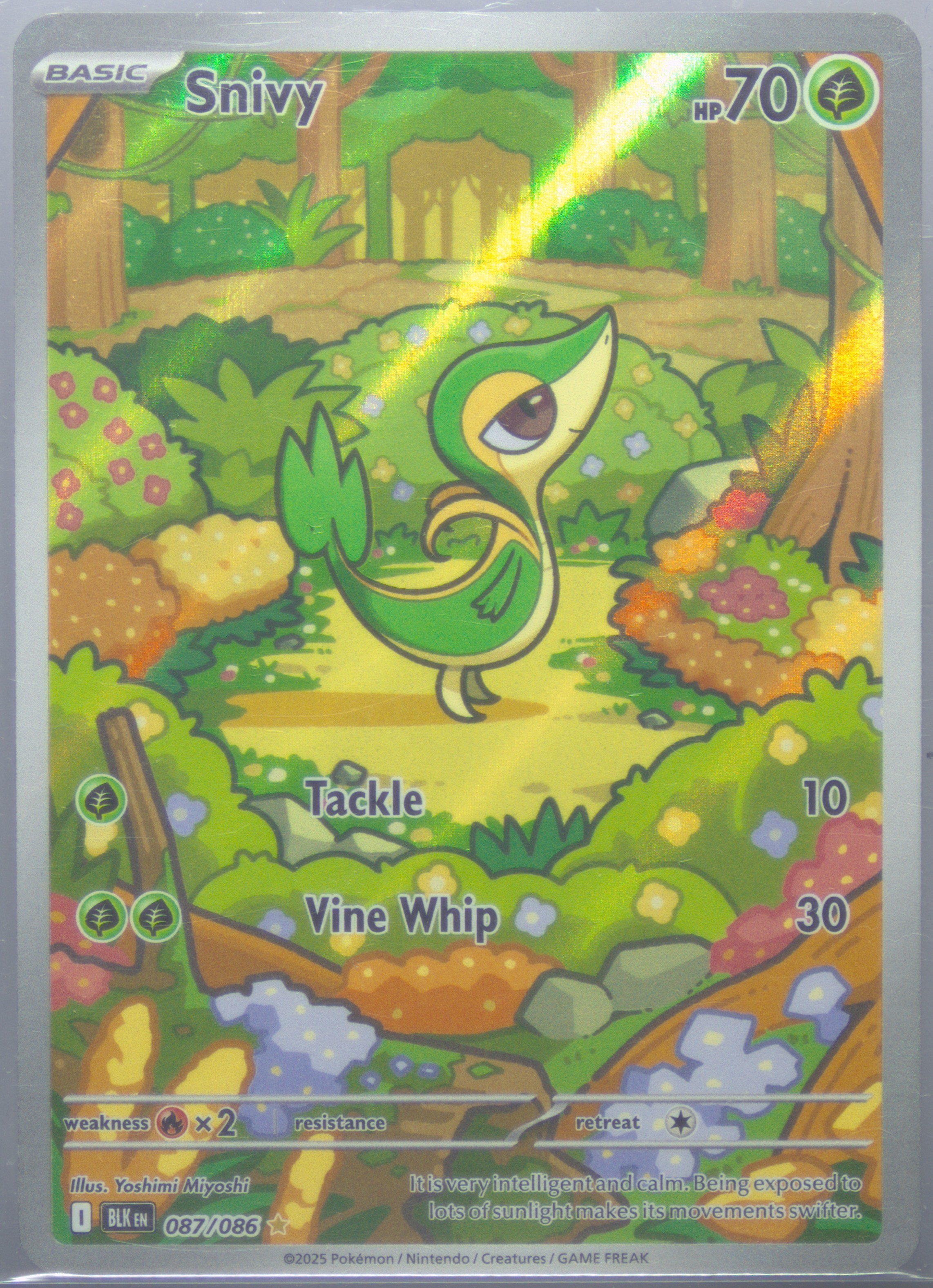 most powerful pokemon card in the world What Is the Strongest Pokmon Card? 30+ of the Best to Use