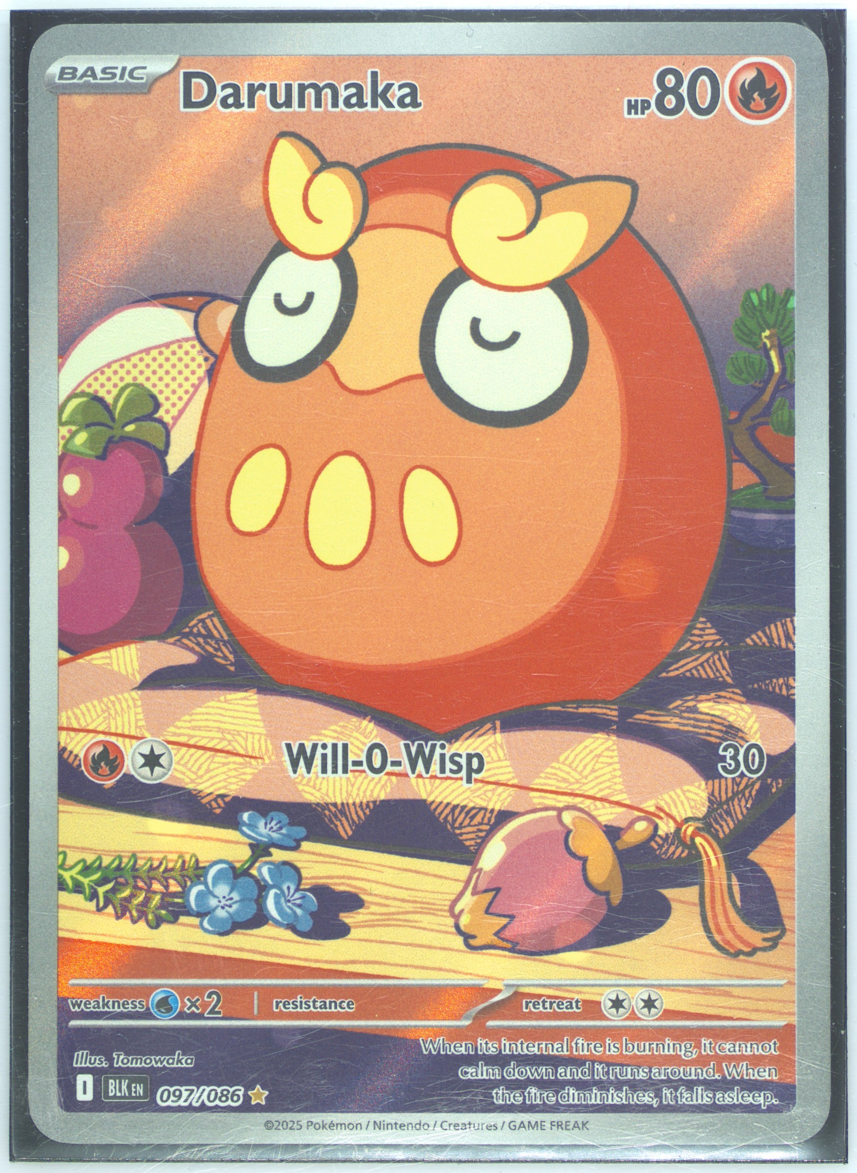 Darumaka