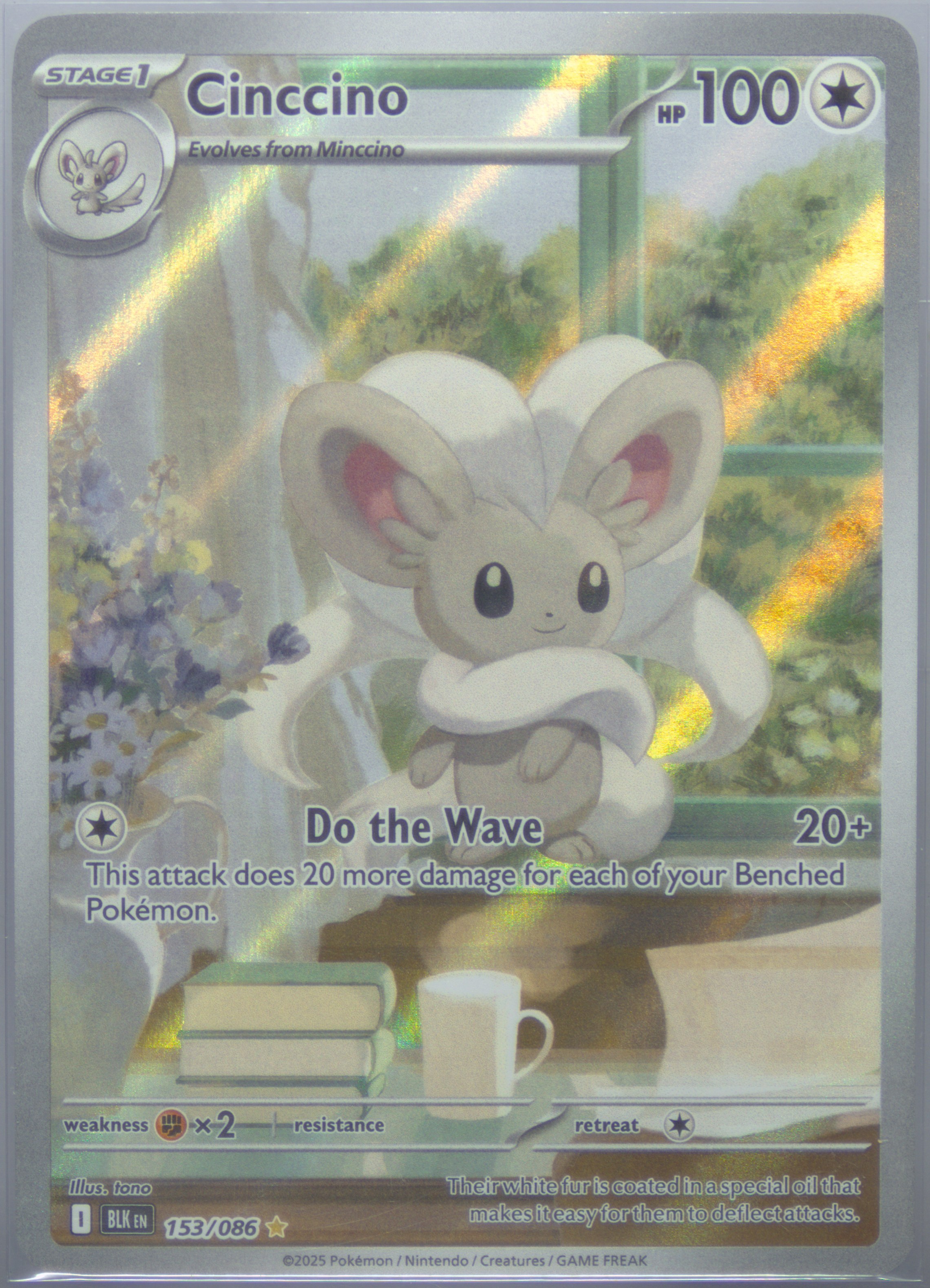 Cinccino