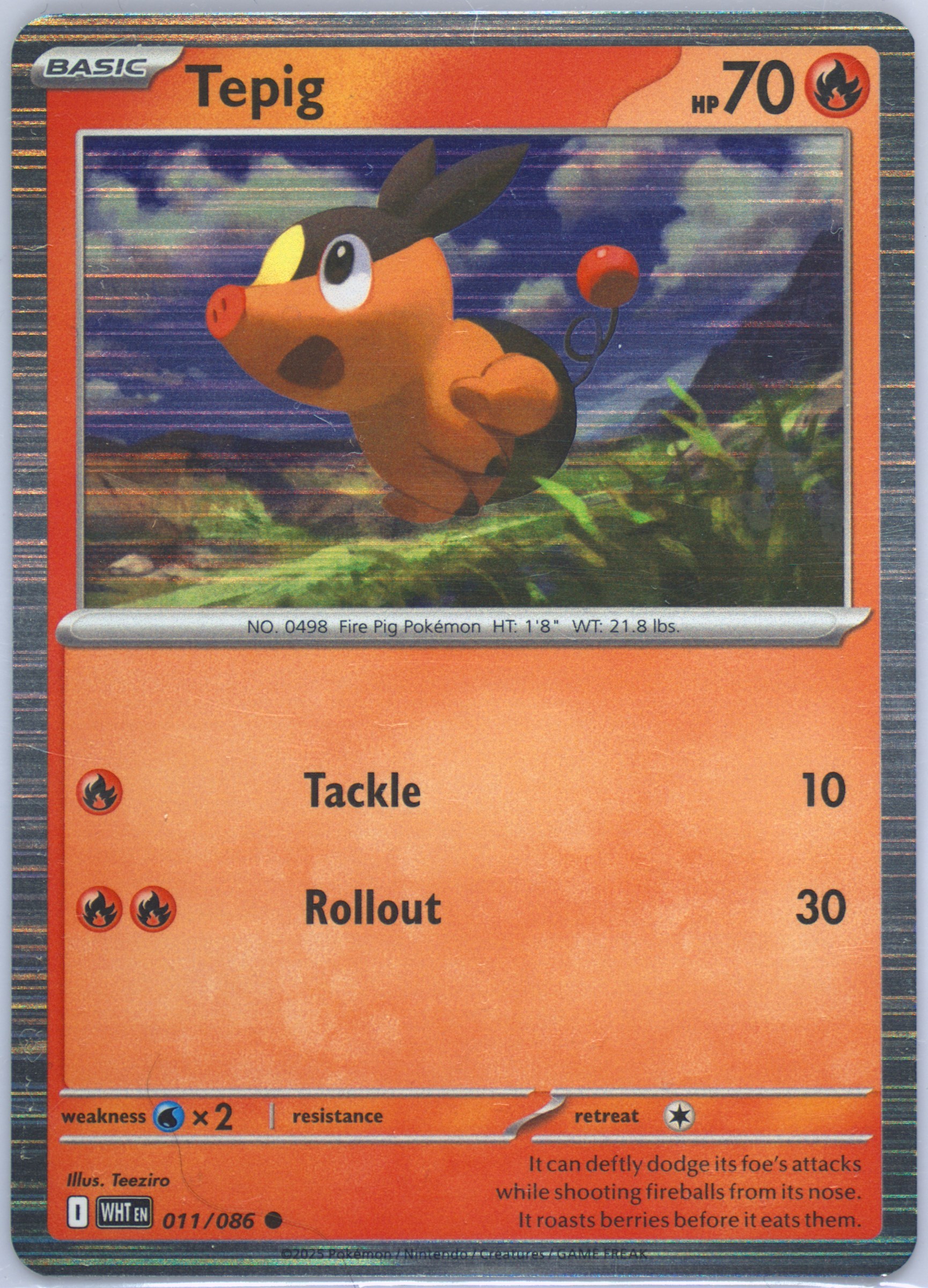 pokemon japanese booster box Japanese Pokemon Card Booster Packs  Learning Express Houston