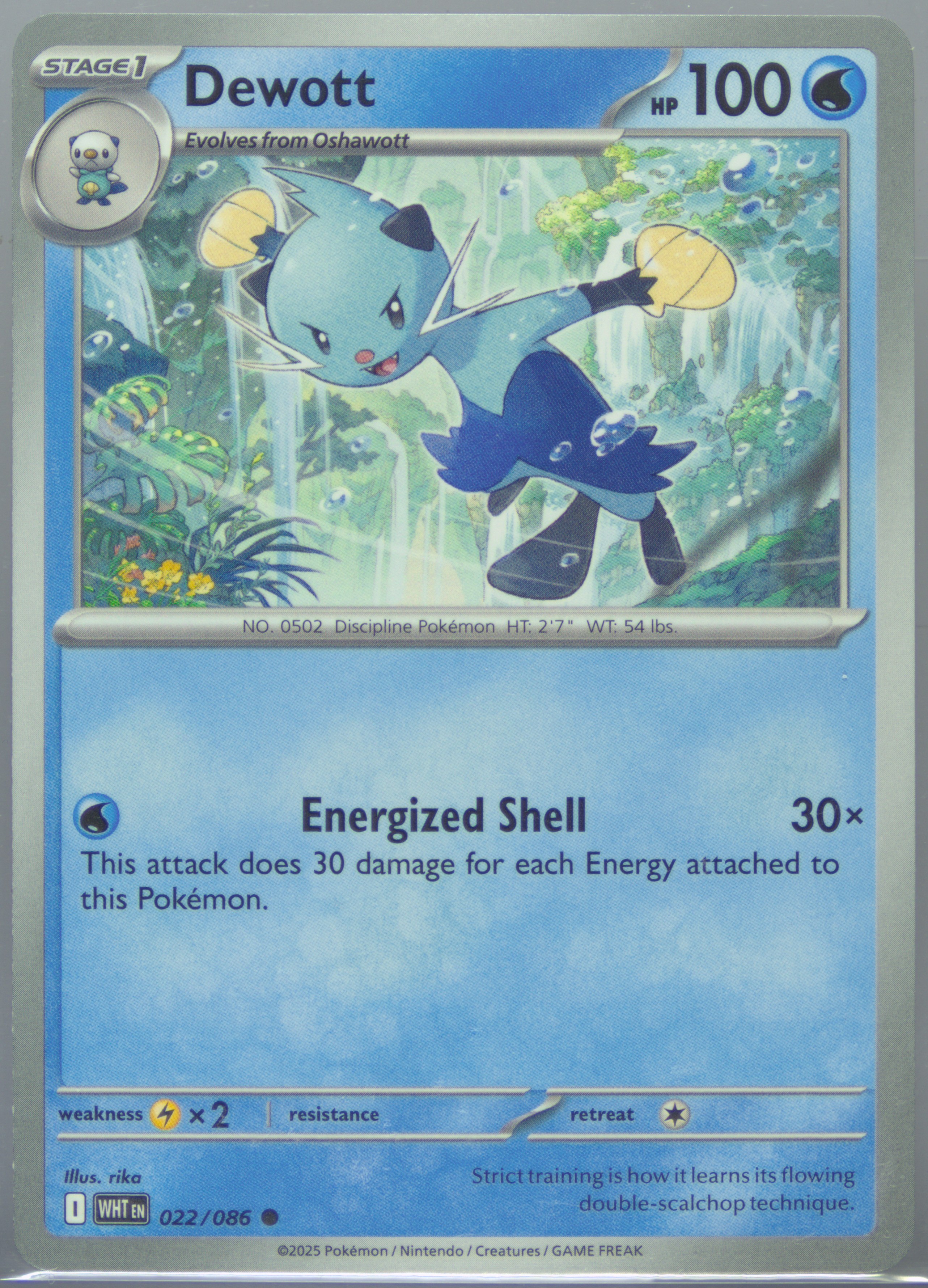 Dewott