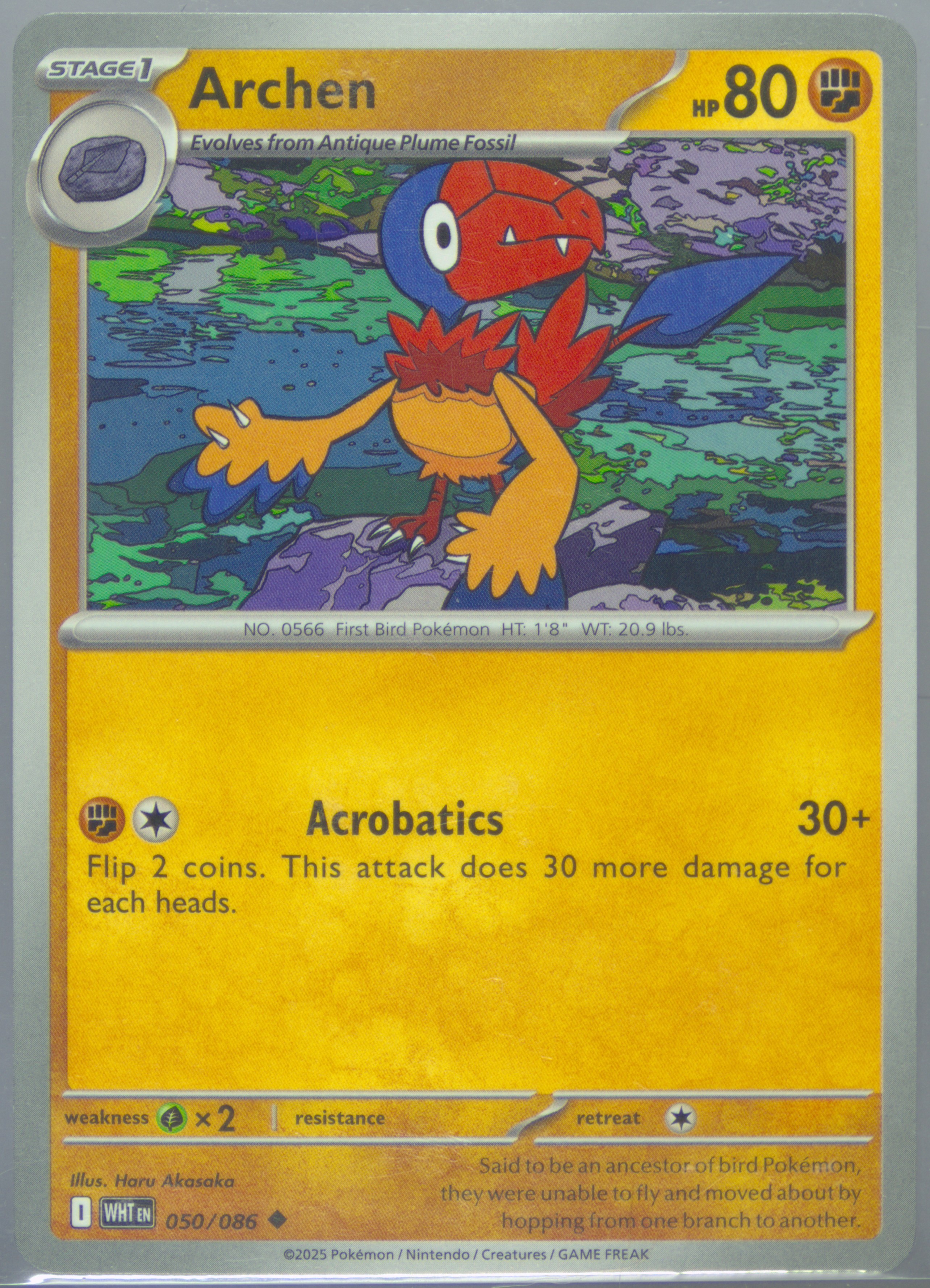 Archen