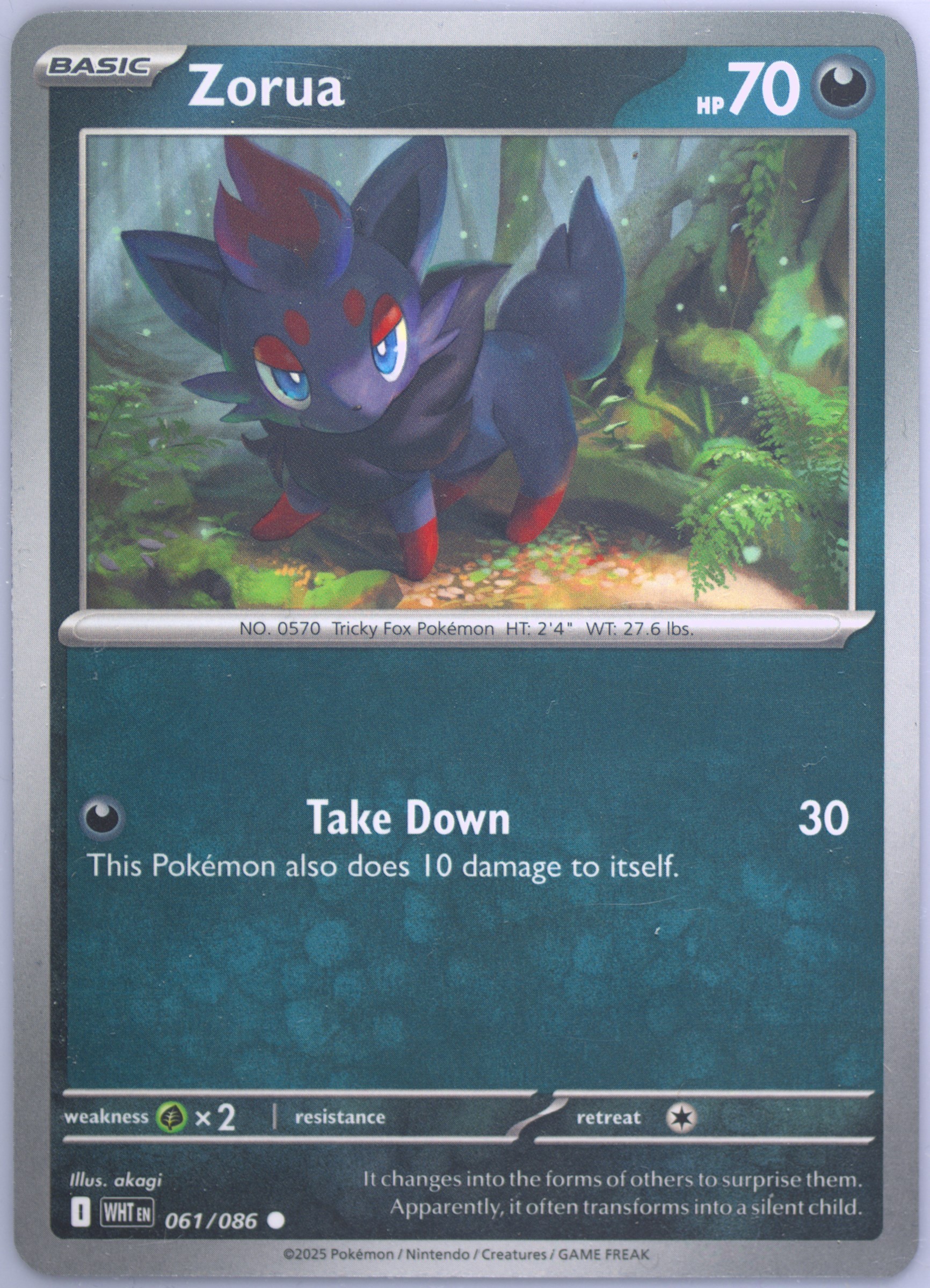 Zorua
