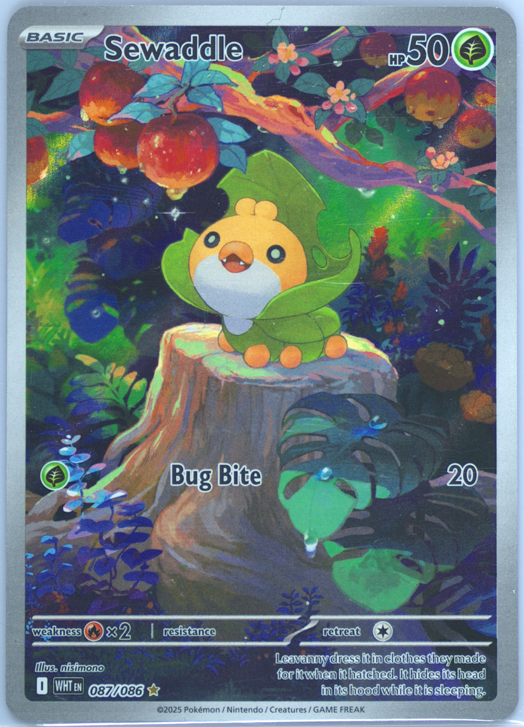 Sewaddle