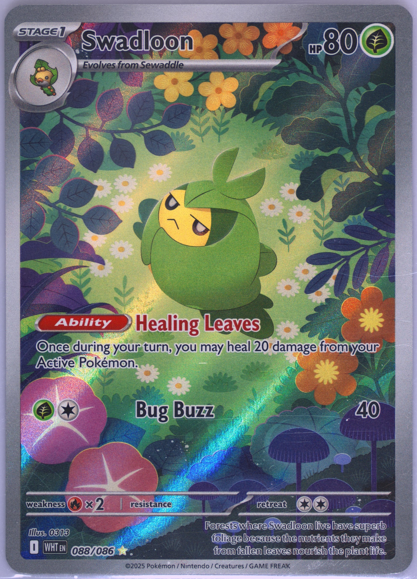 Swadloon