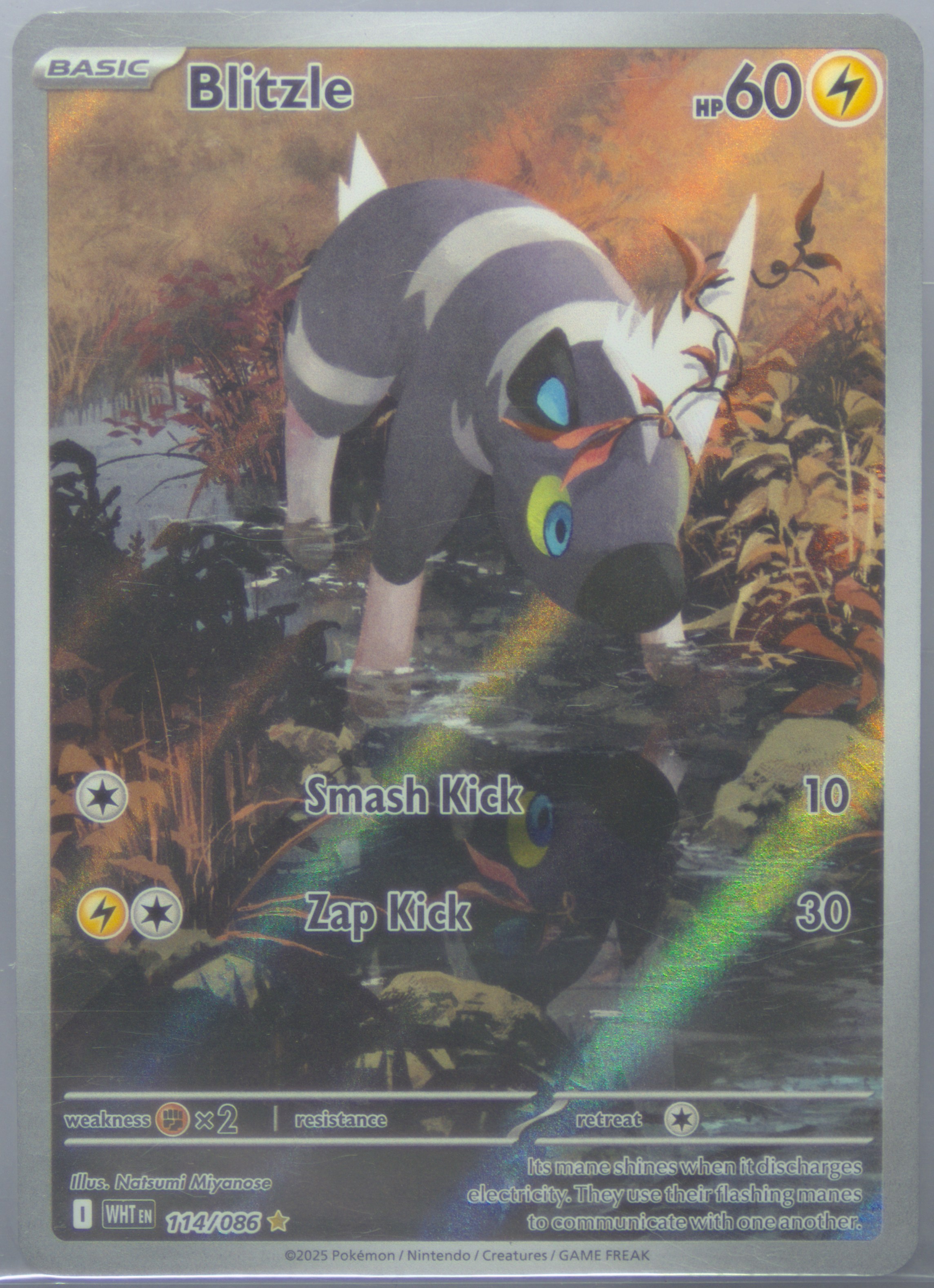 5 card yugioh monster Rarity Collection 5  Yu-Gi-Oh!