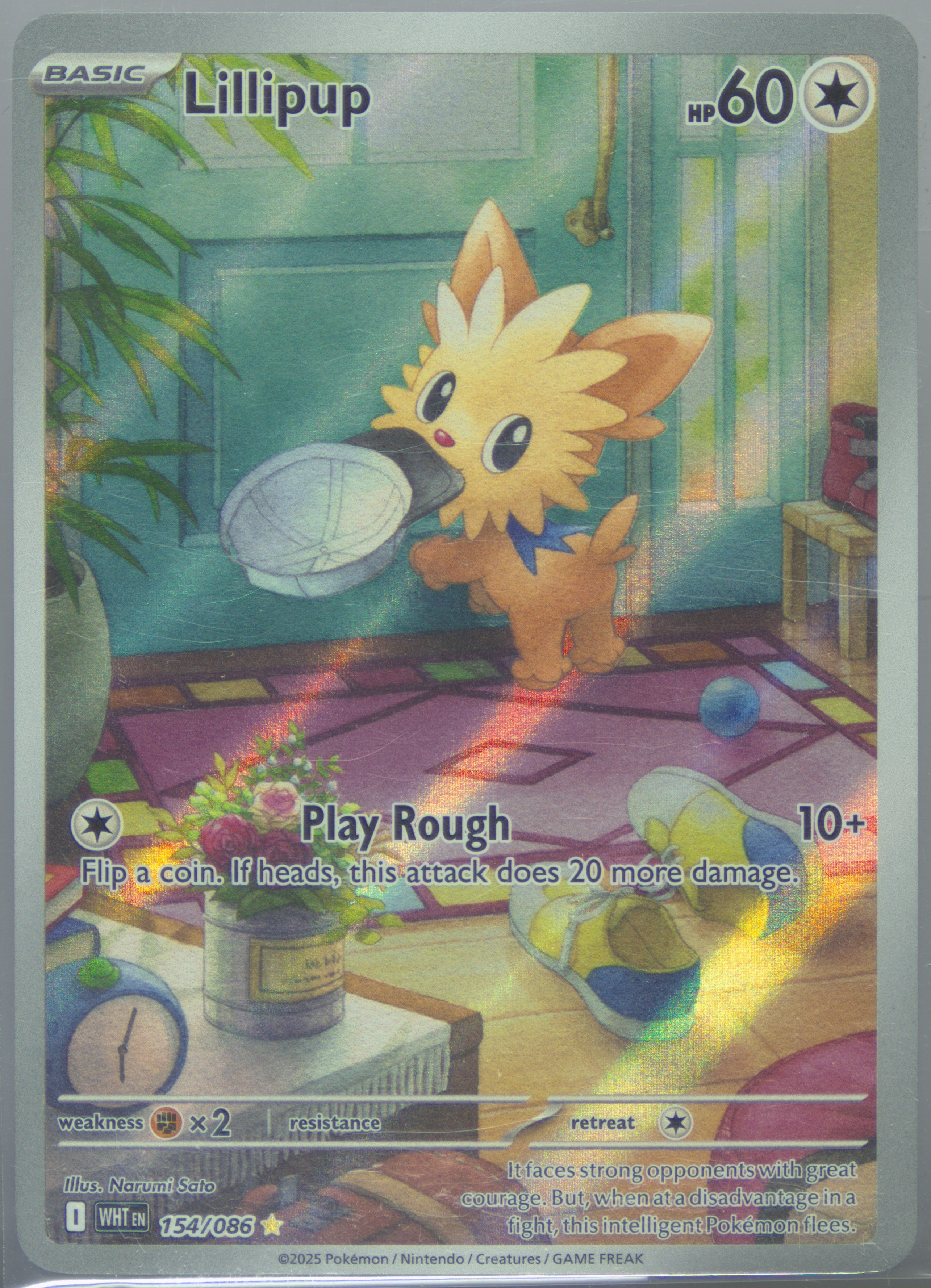 crystal card collection pokemon Pokmon Crystal Gathering Booster Box CSV9.5C