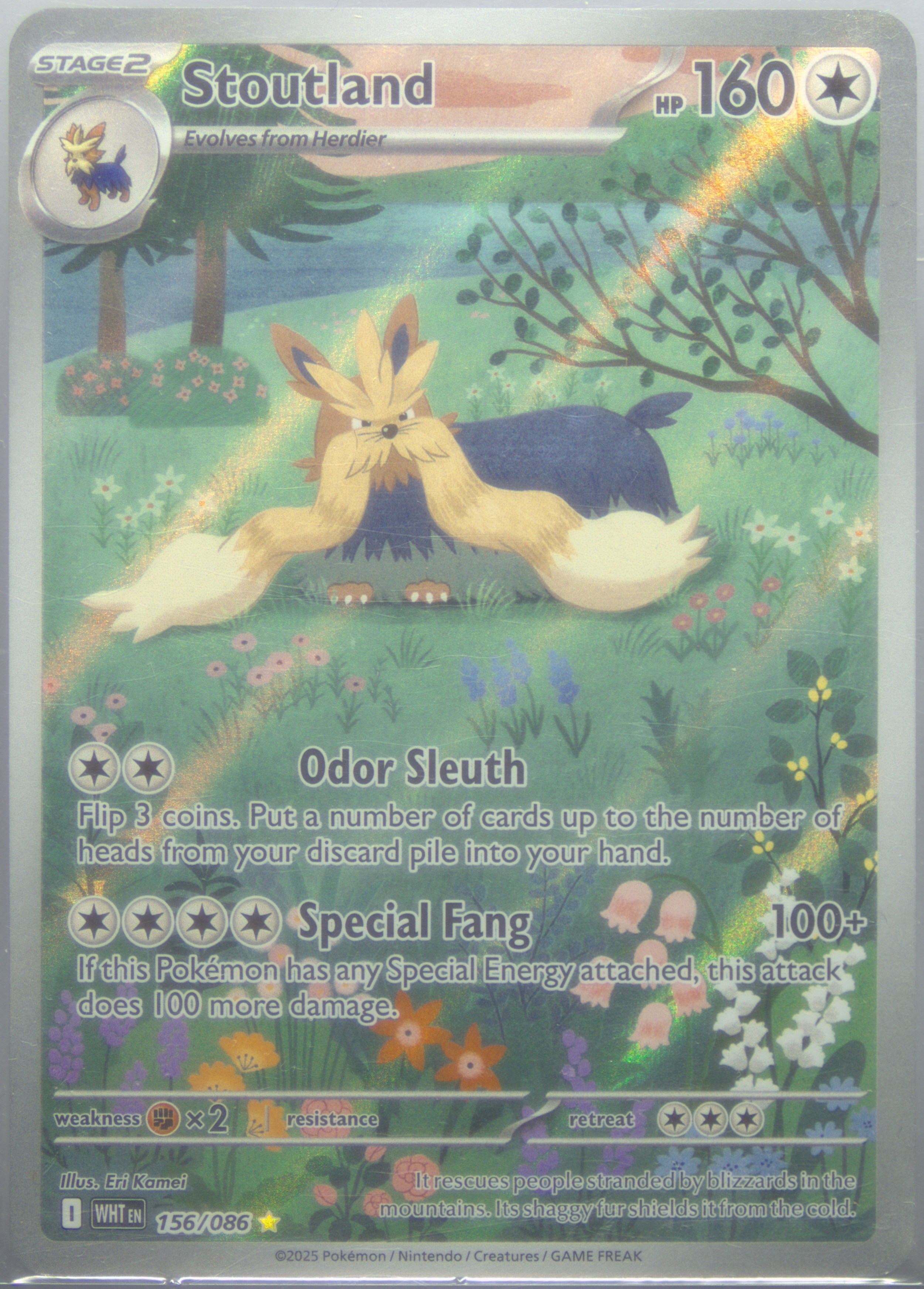 stoutland pokemon card price 135/203 - Evolving Skies - Rare - Evolution lot Rare Card Type Stoutland Pokemon | eBay