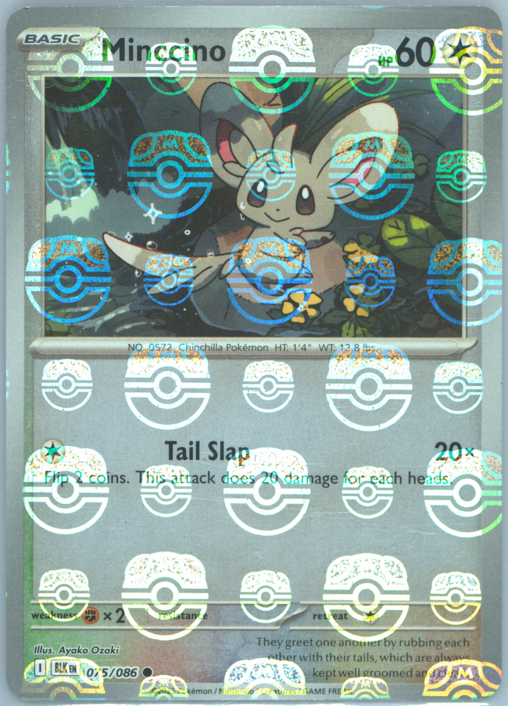 Minccino