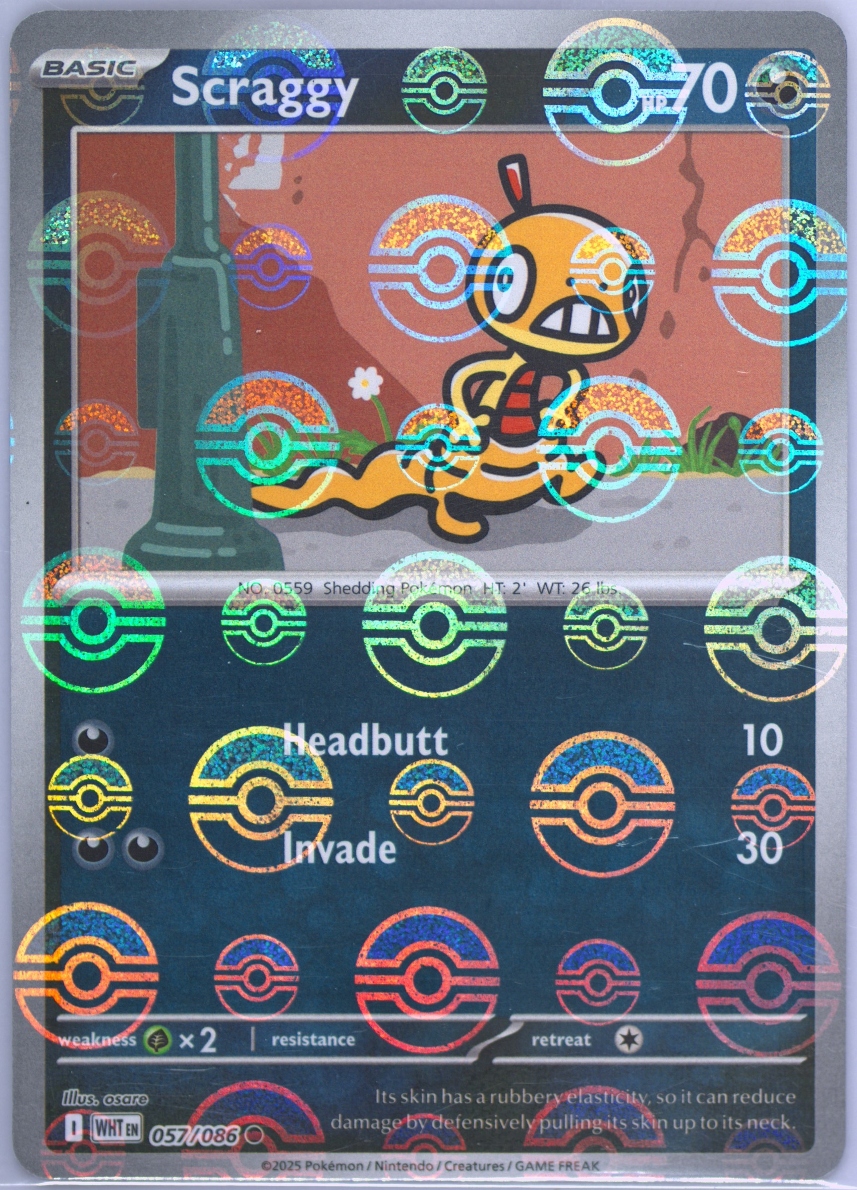 Scraggy