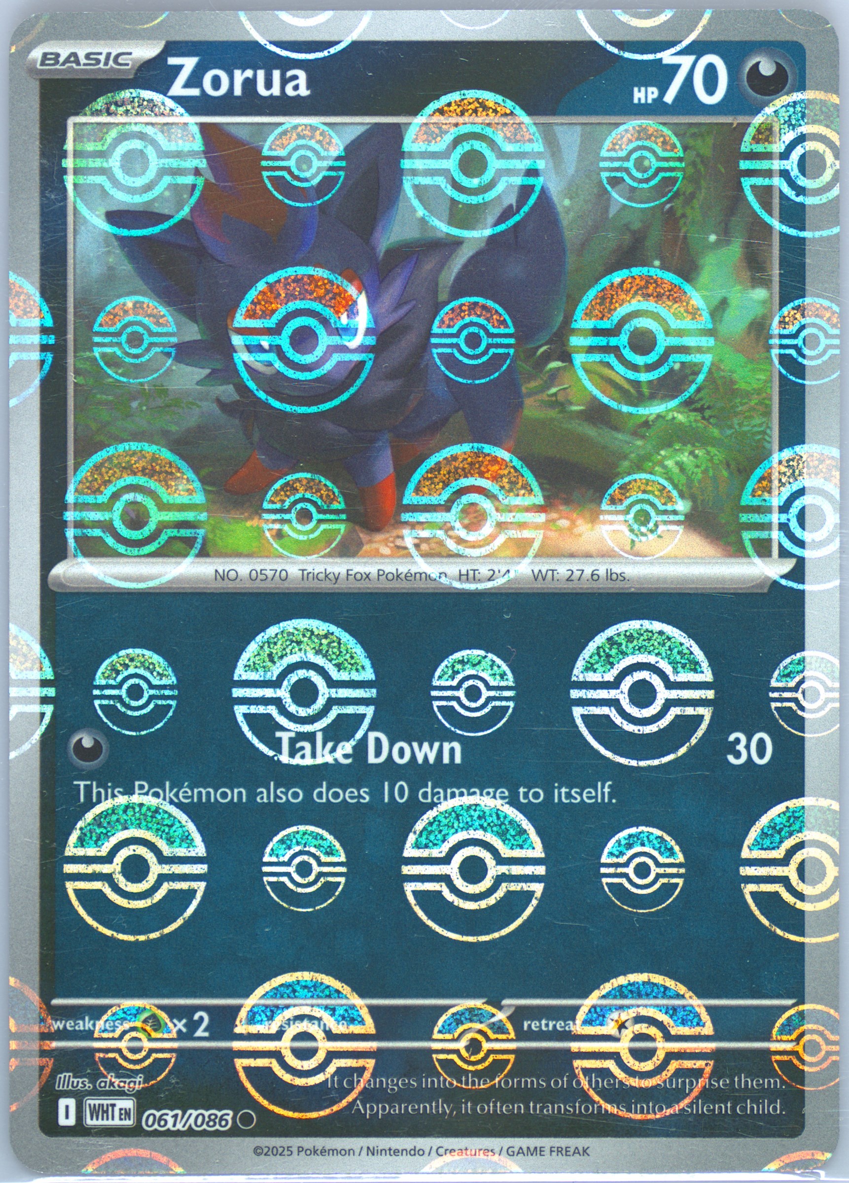 Zorua