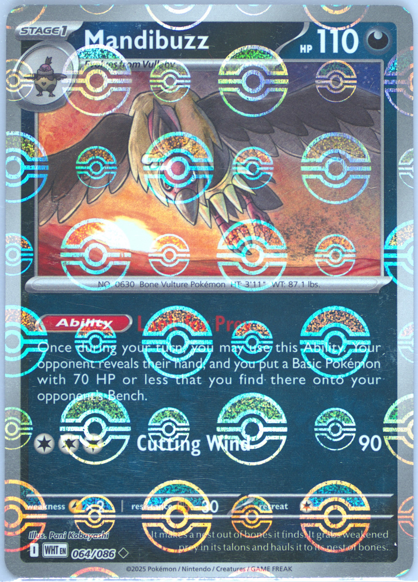 Mandibuzz