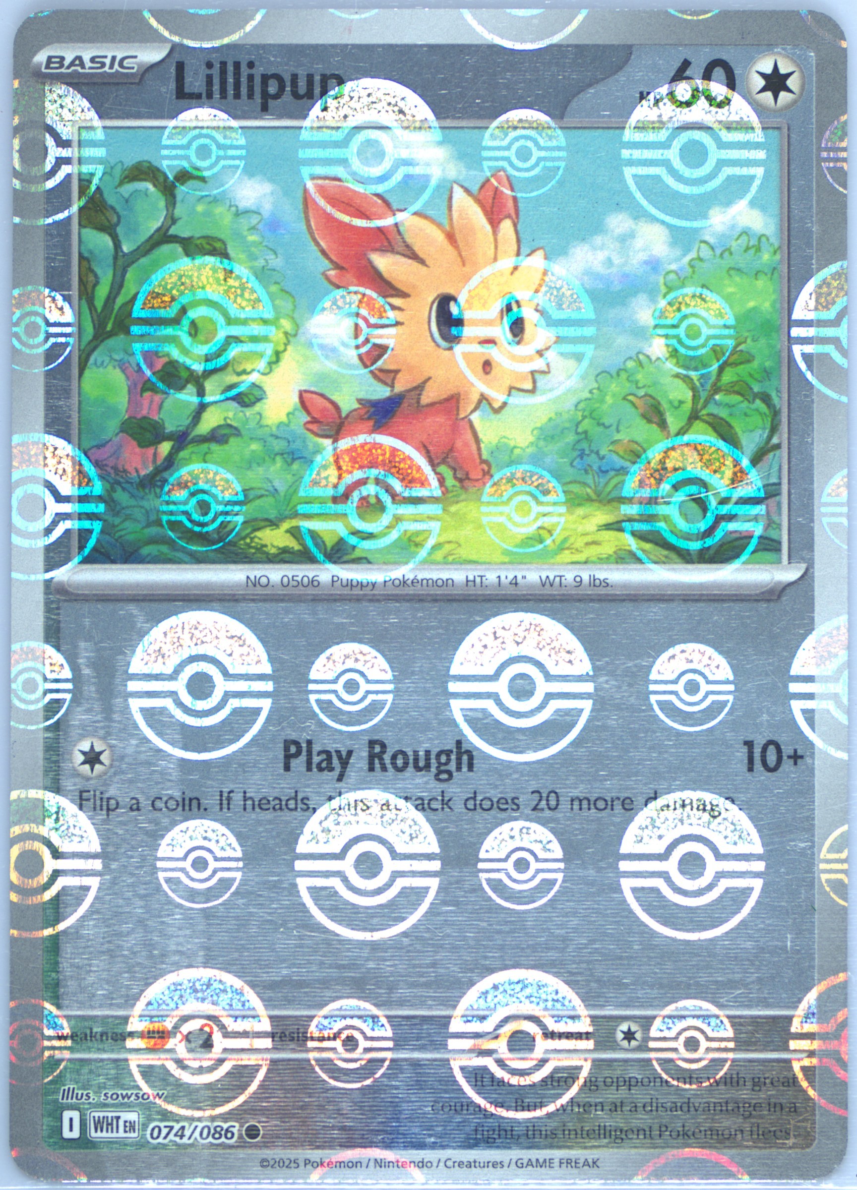 Lillipup Illustration Rare (154) 2025 Pokemon Wht EN-White Flare - Pokmon  Card Data