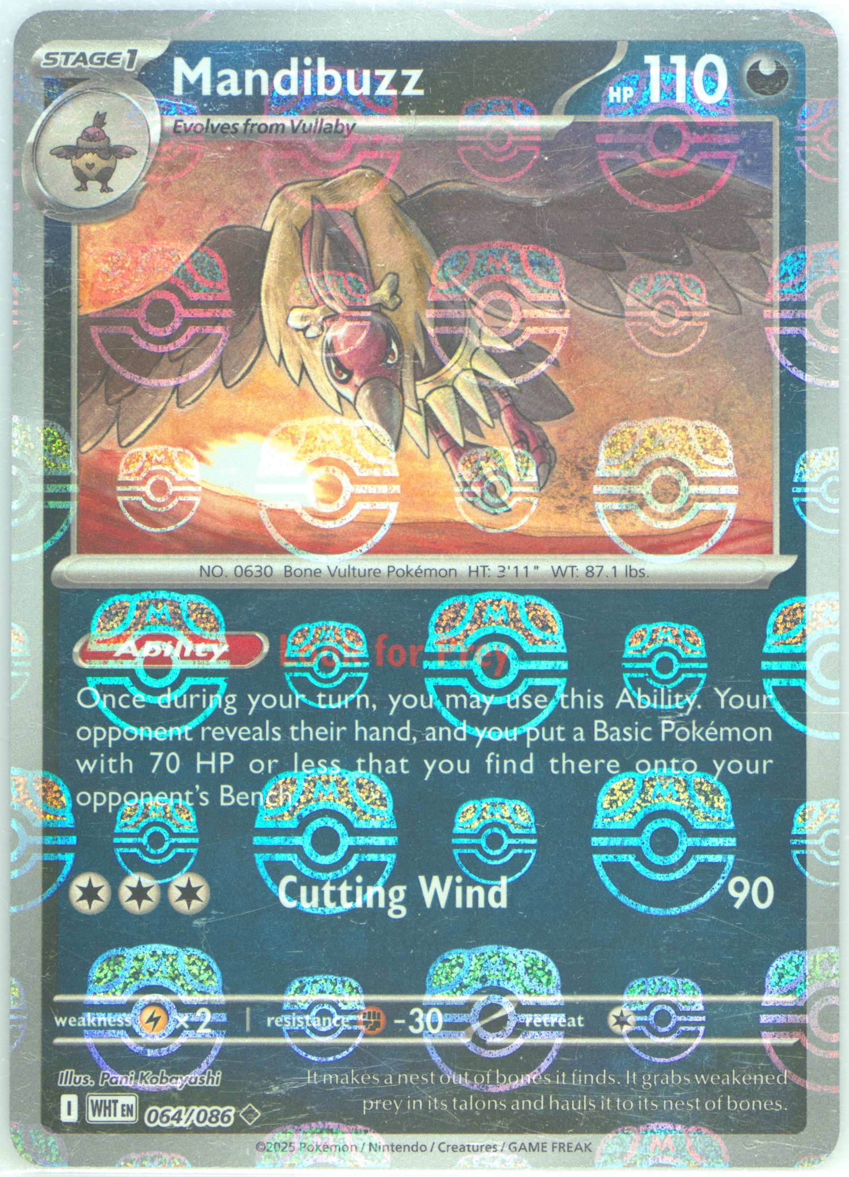 Mandibuzz