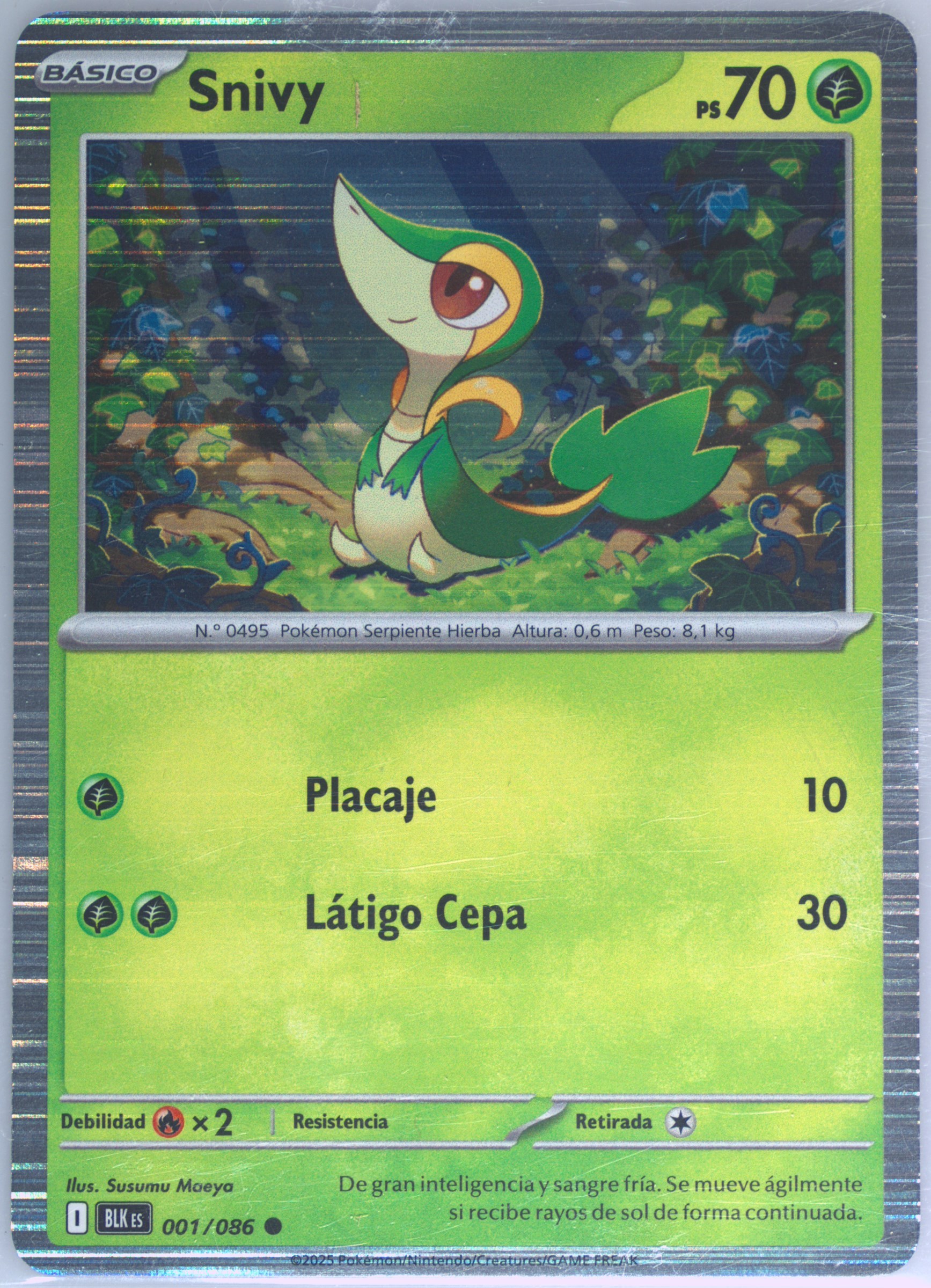 Snivy