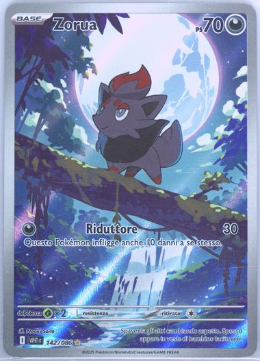 Zorua