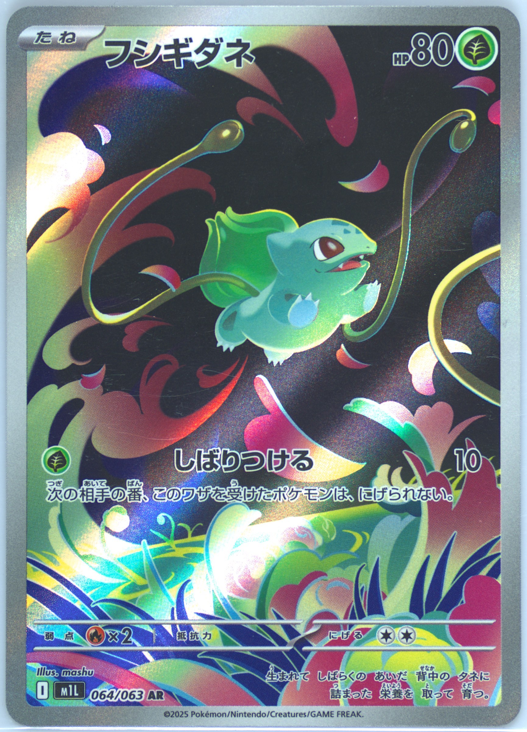 フ*ー様 a47品種保証！斑入り保証！Bulbasaurモンステラ バルバソー M*T様 A147品種保証！斑入り保証！Bulbasaurモンステラ バルバソー
