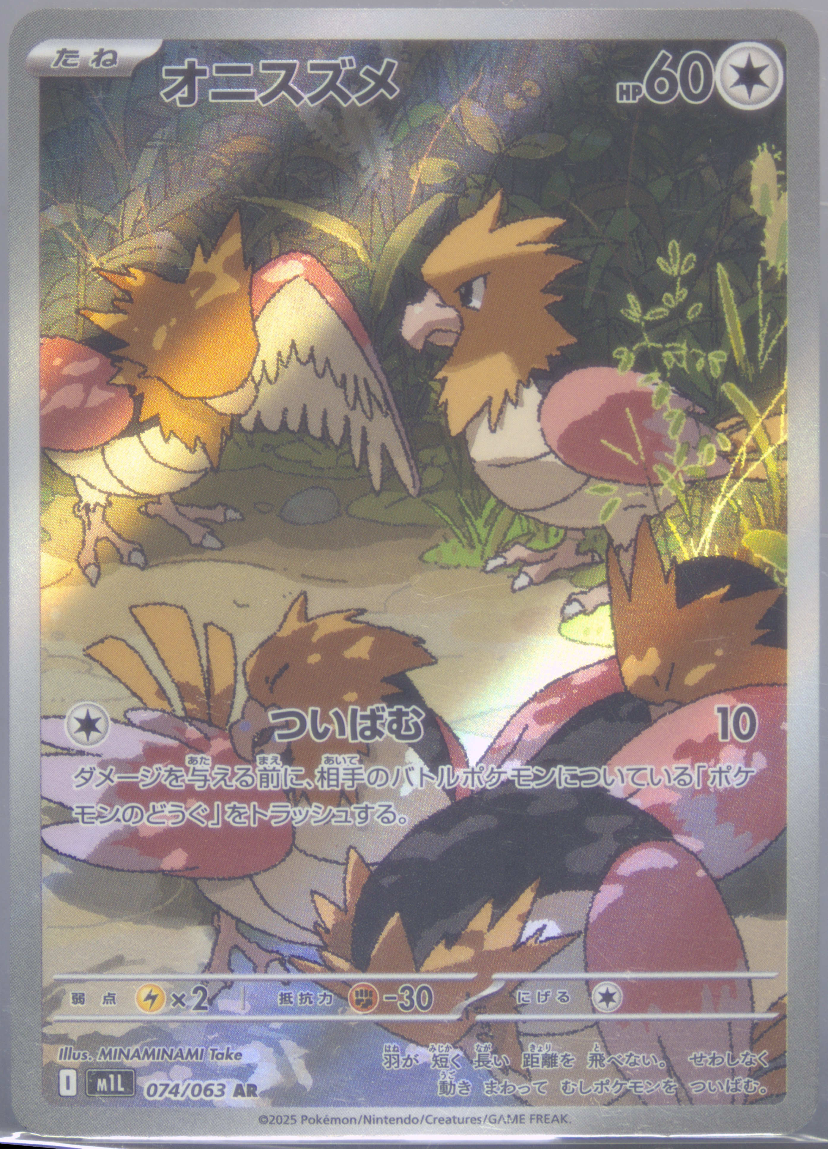 Spearow