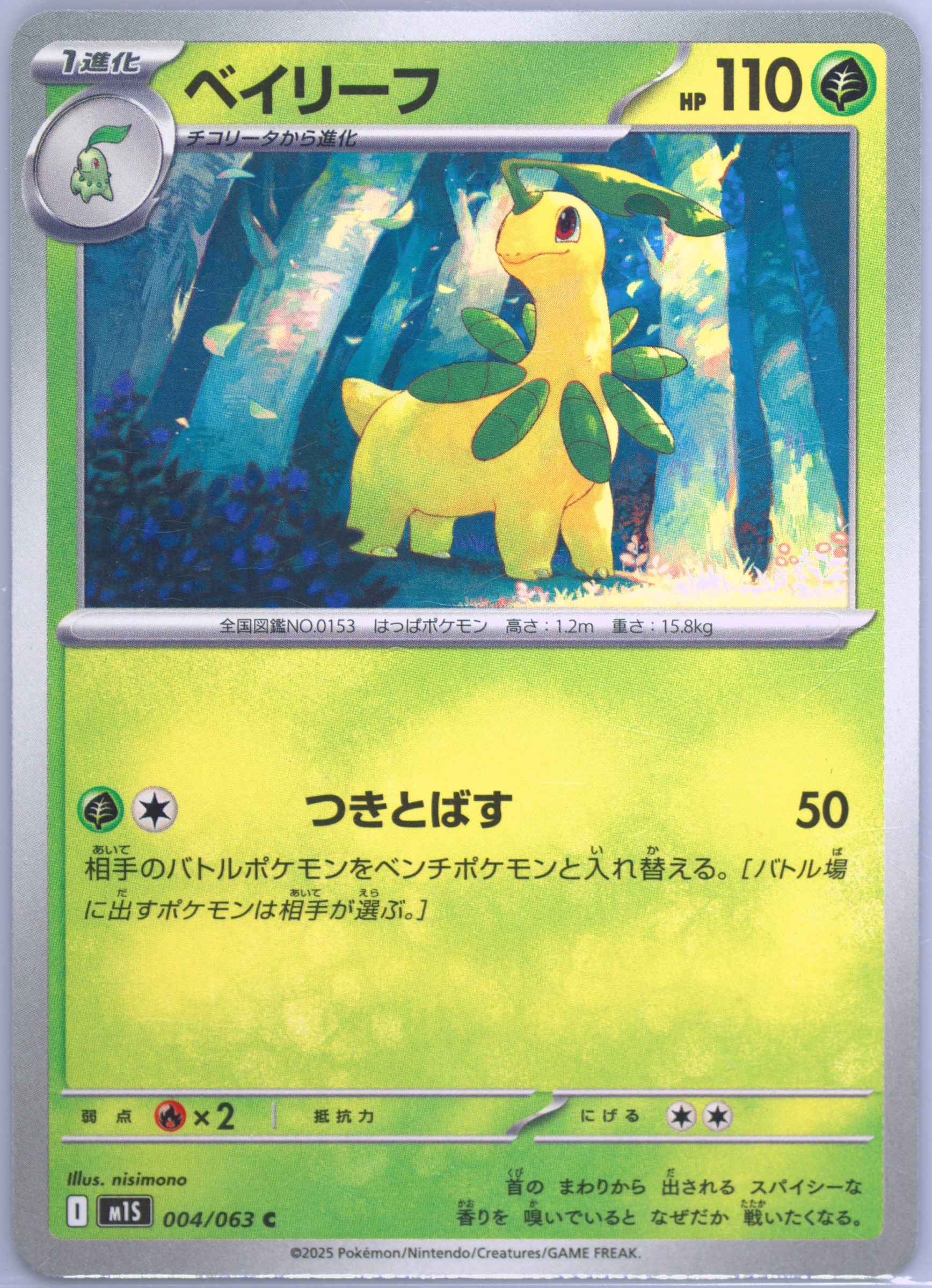 Bayleef