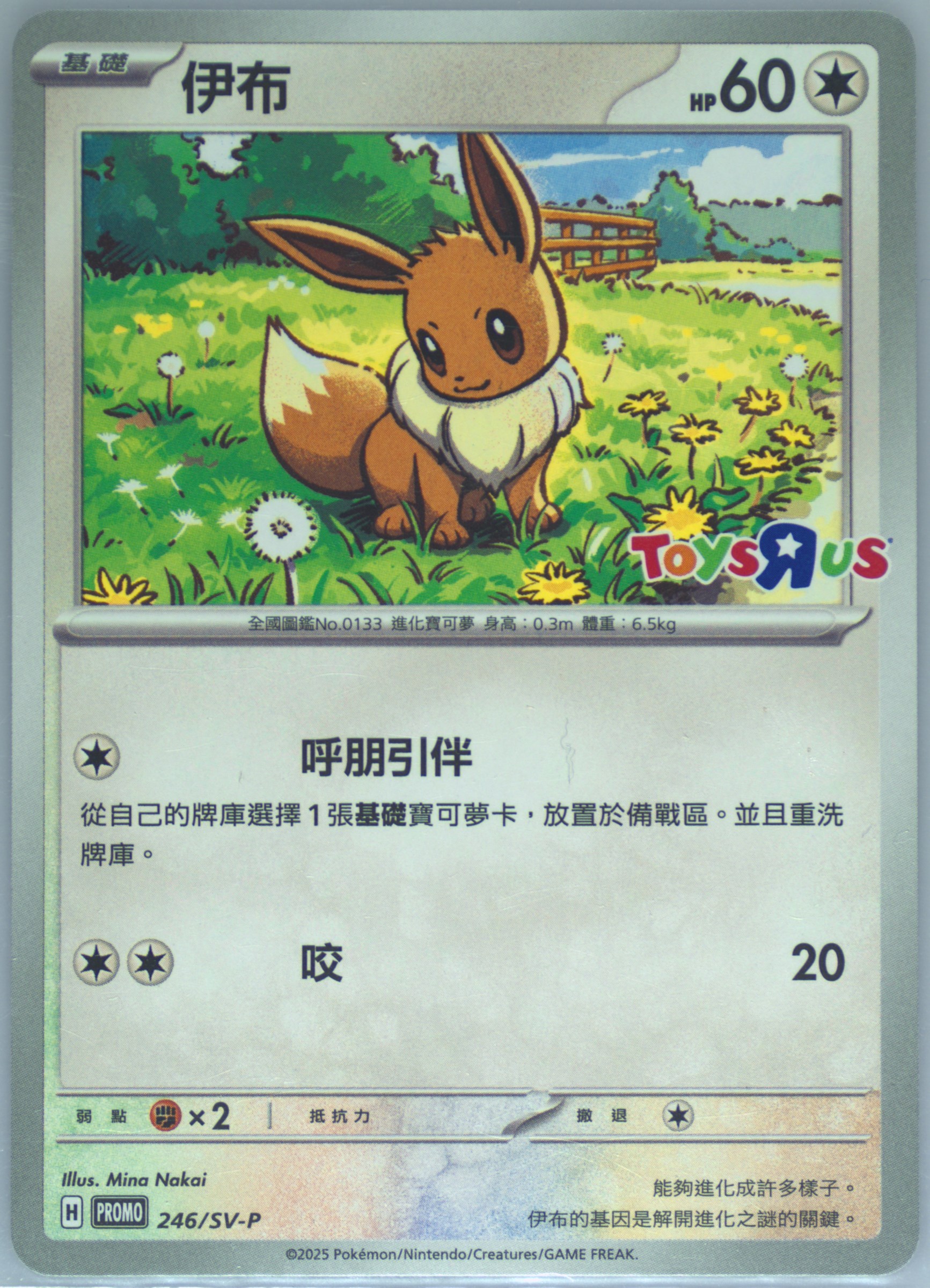 Eevee