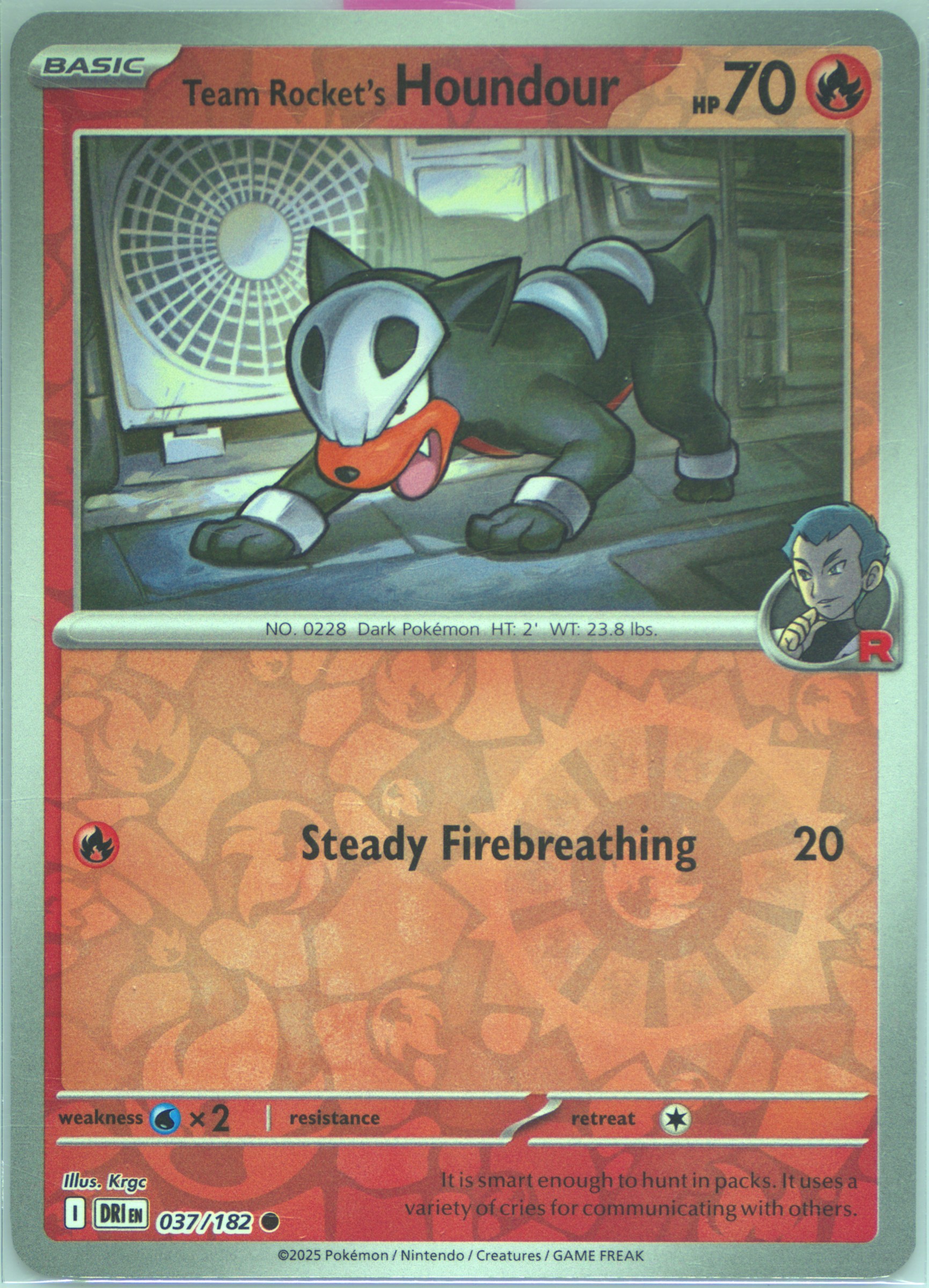 Team Rocket's Houndour