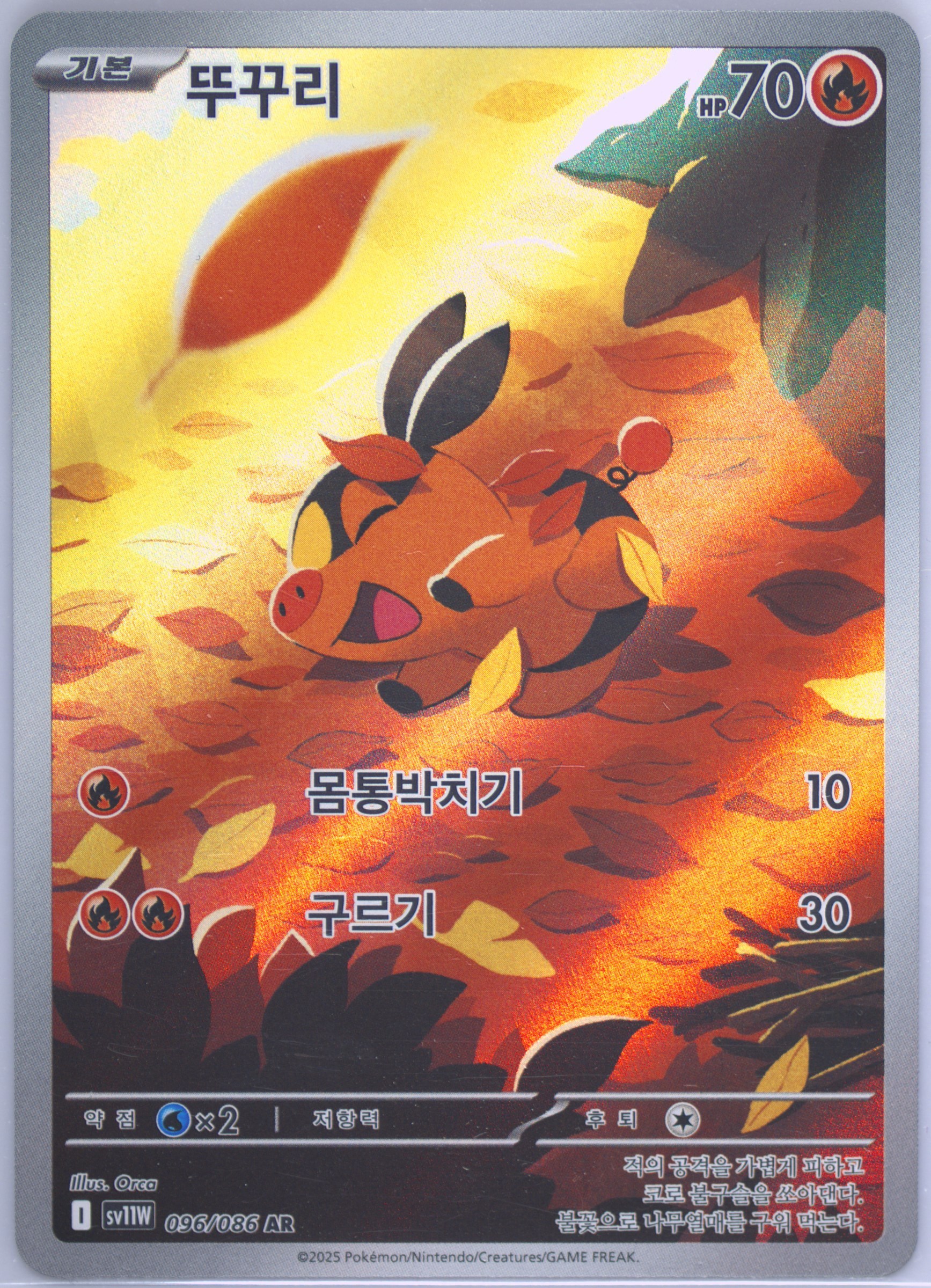 Tepig