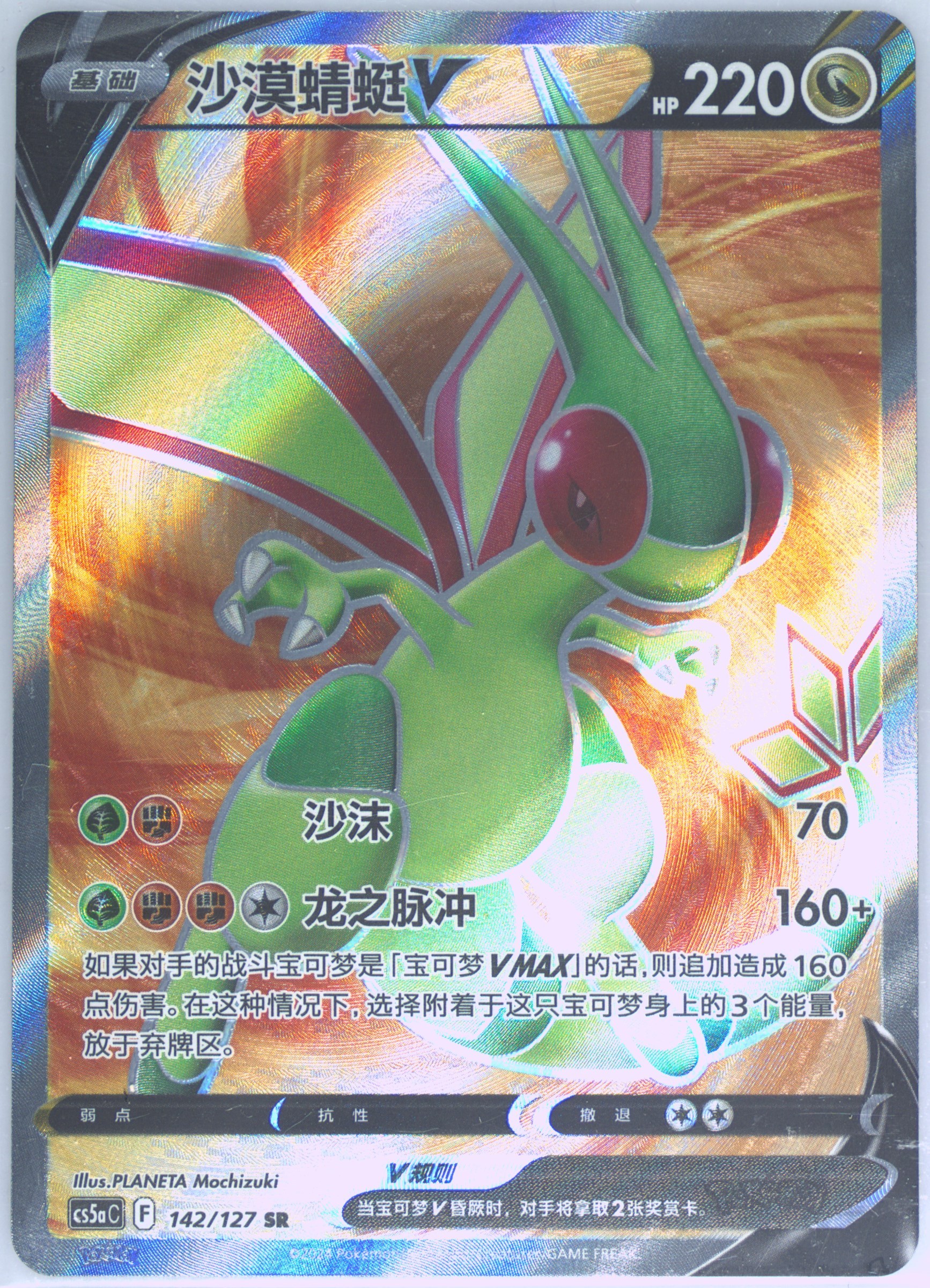 Flygon V