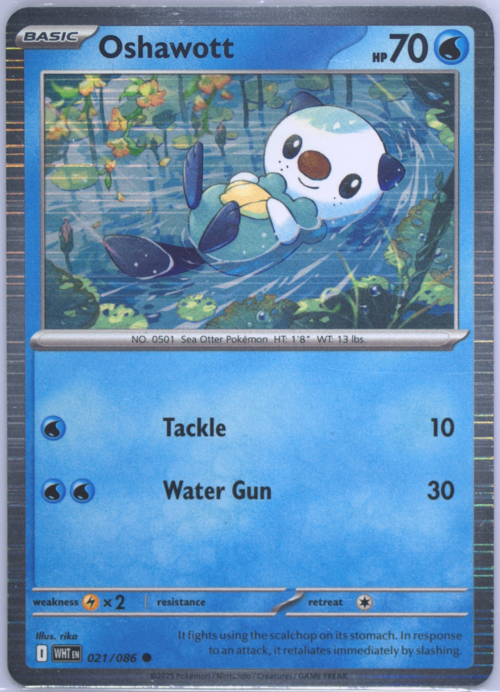 oshawott pokemon card value Game/[CS1] Journey Partners Collection Sheet]Oshawott 007/009 Foil | Buy from TCG Republic Water Colorless Beat (10) Weakness Lightning 2 Resistance None None Retreat Cost Oshawott Card Prices & Value