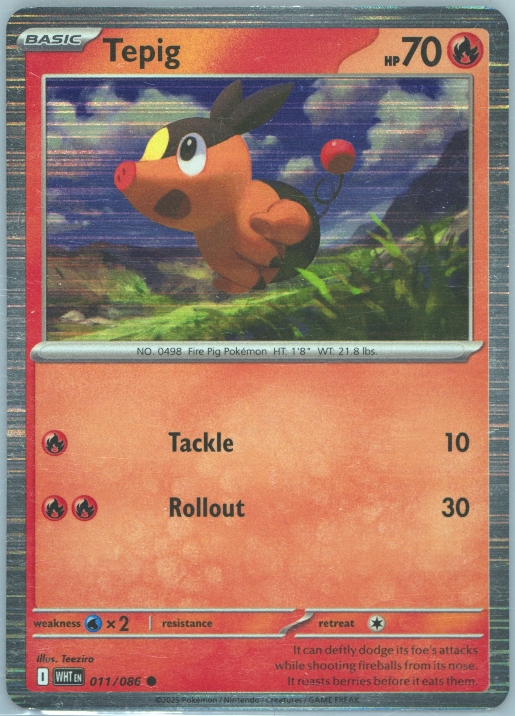 Tepig