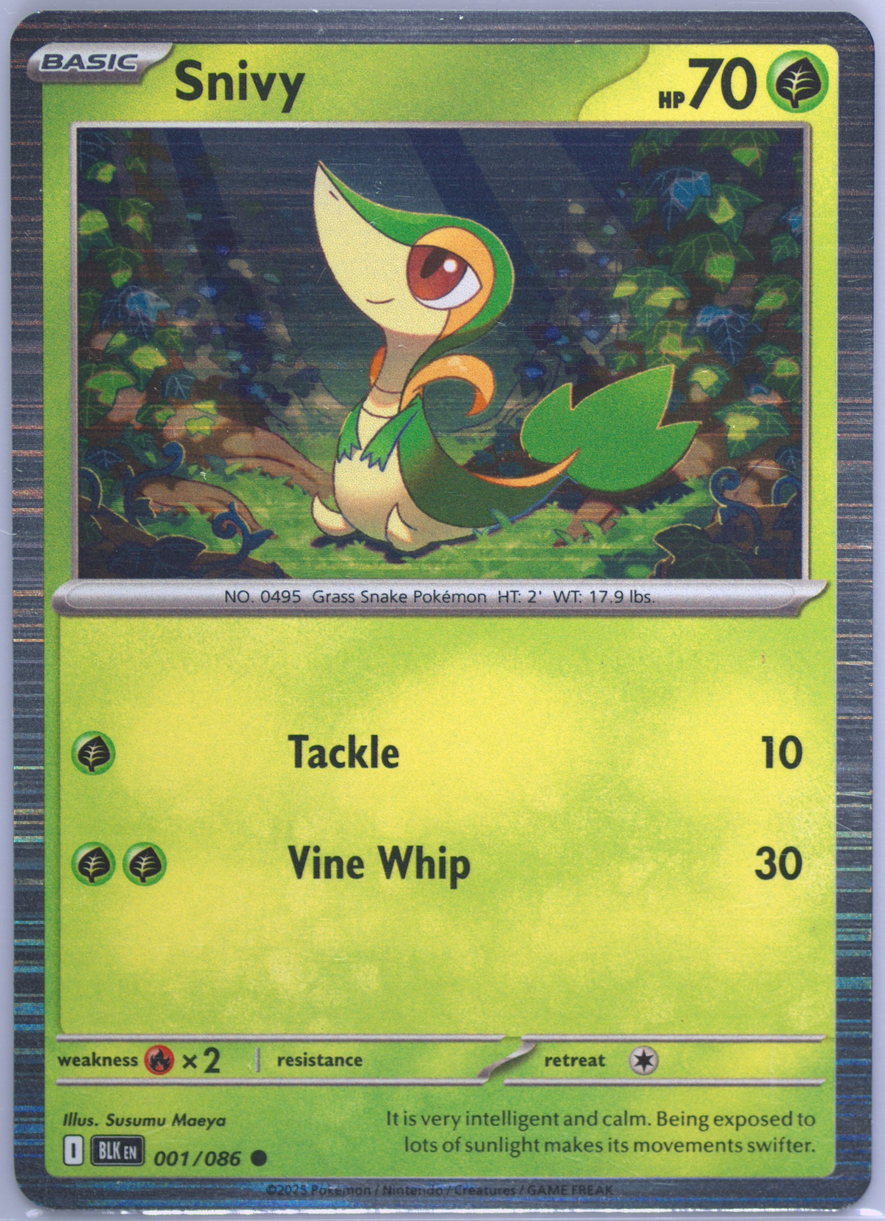 Snivy