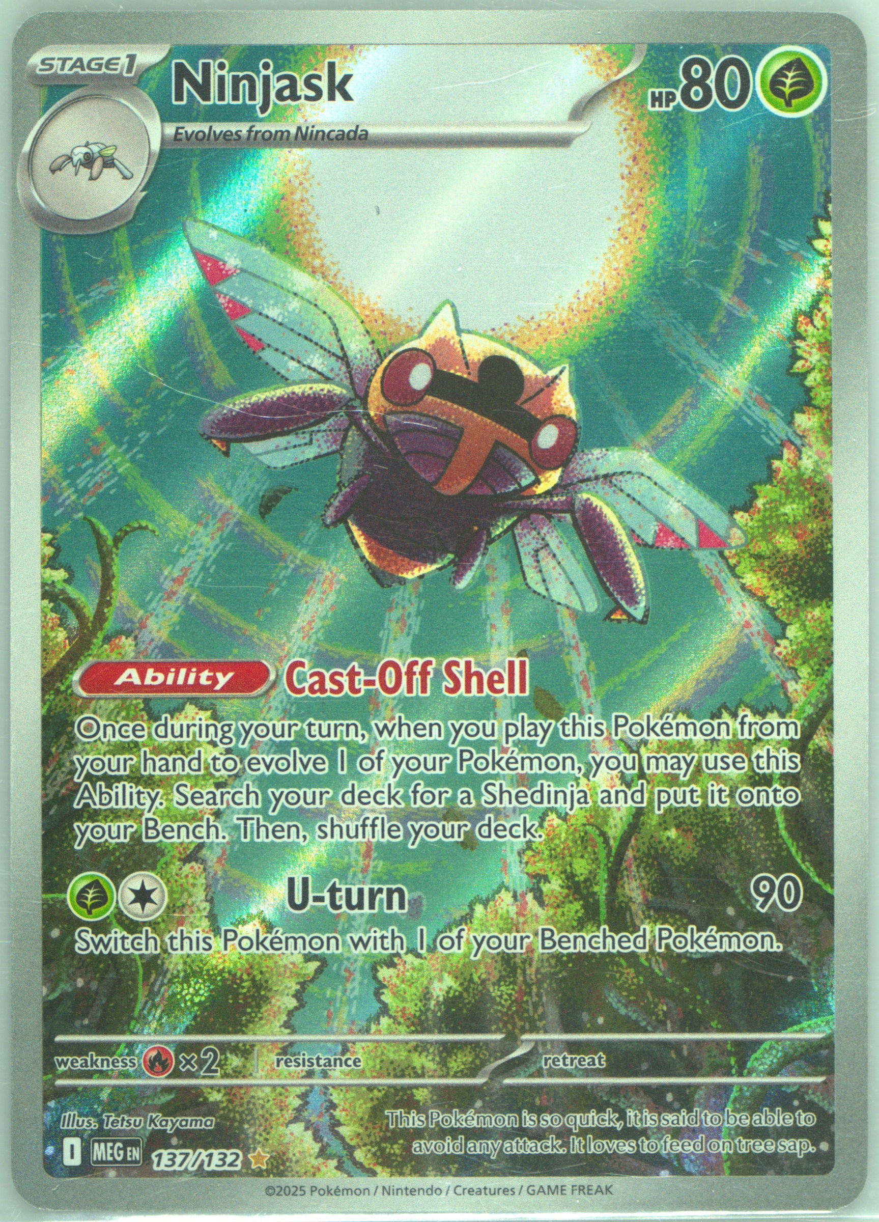 Ninjask