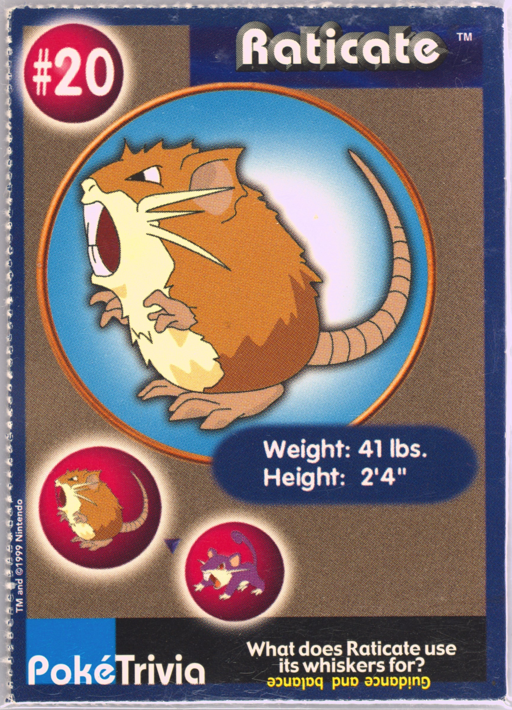 Raticate