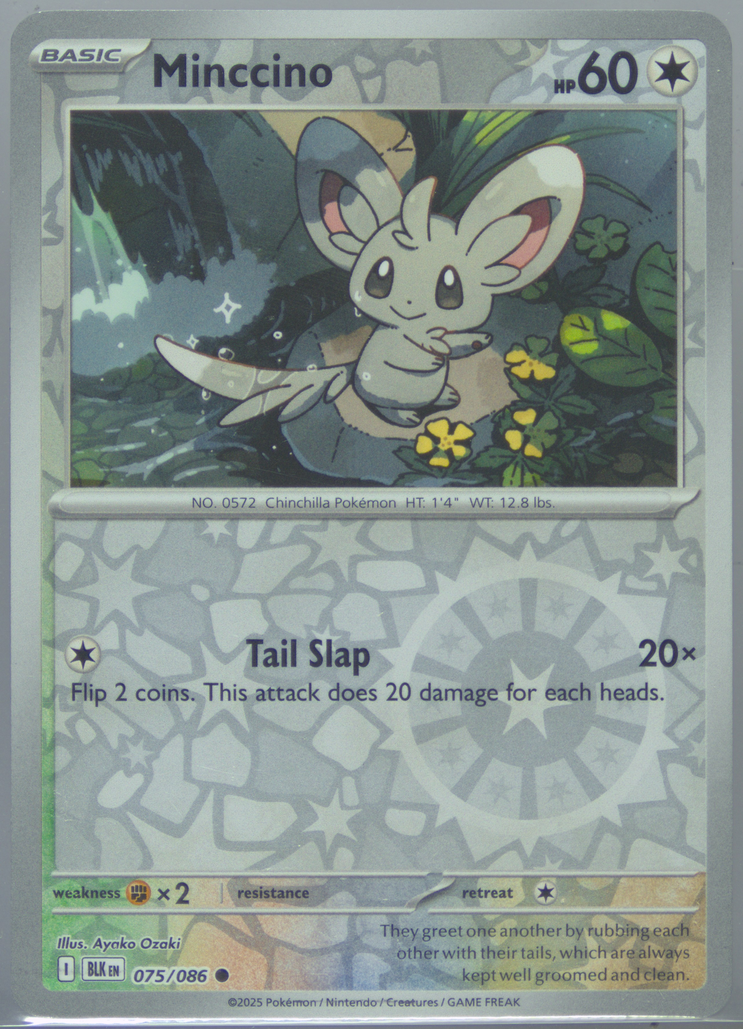 Minccino