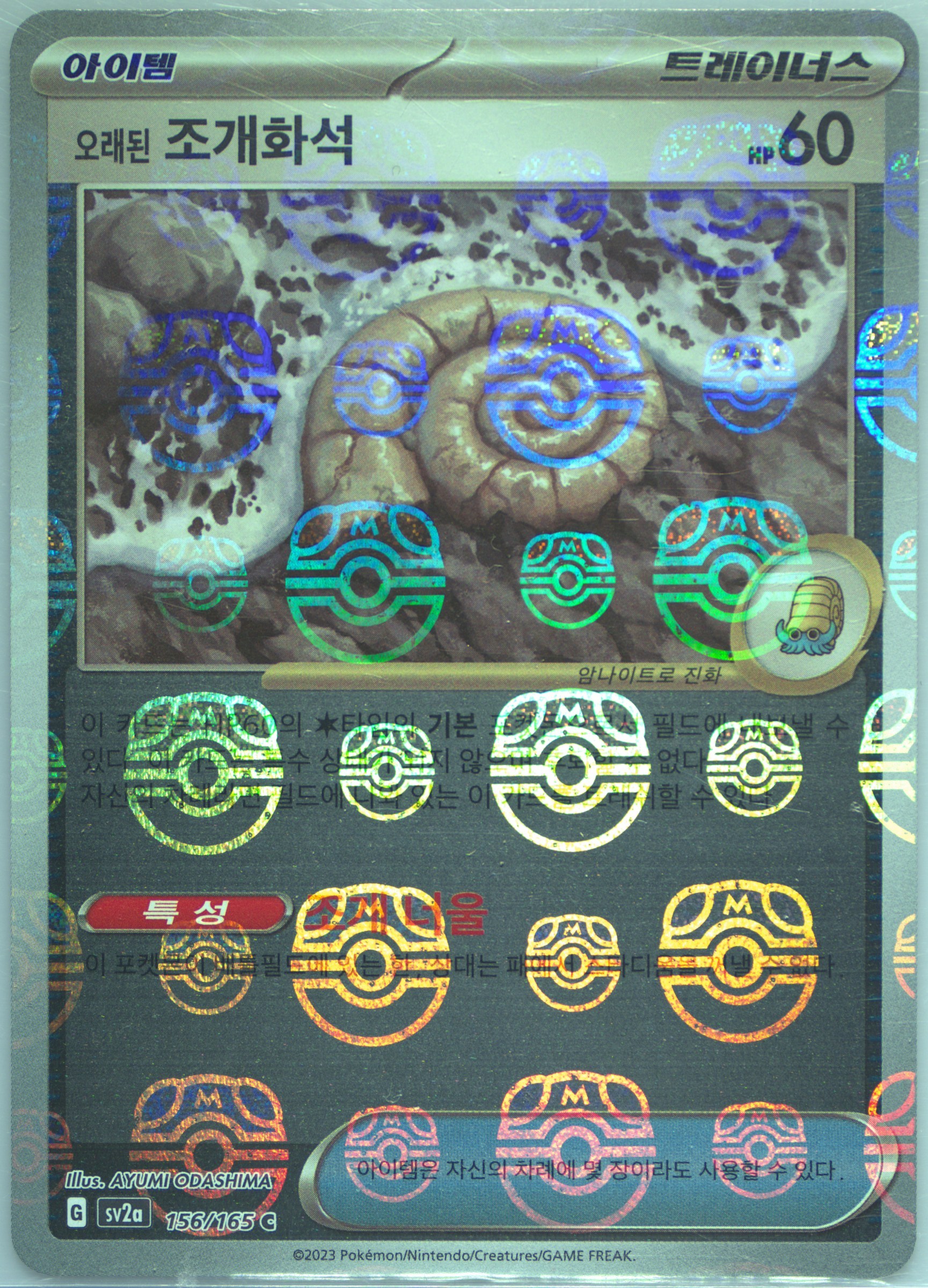 Antique Helix Fossil