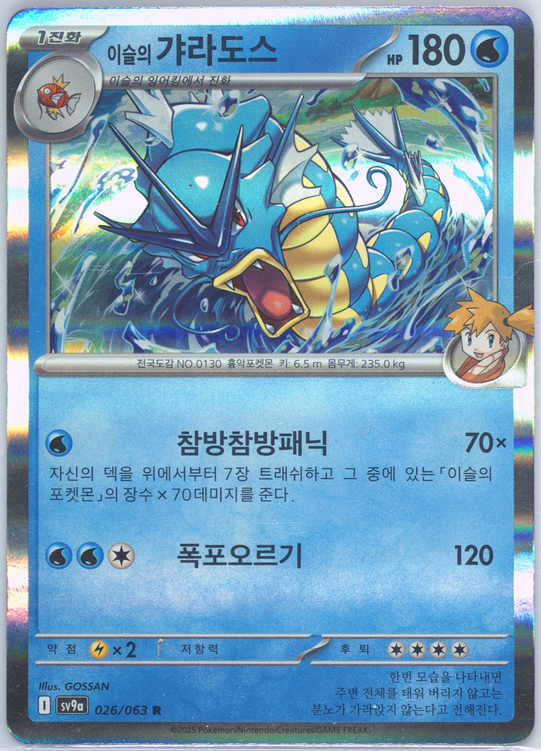 Misty's Gyarados