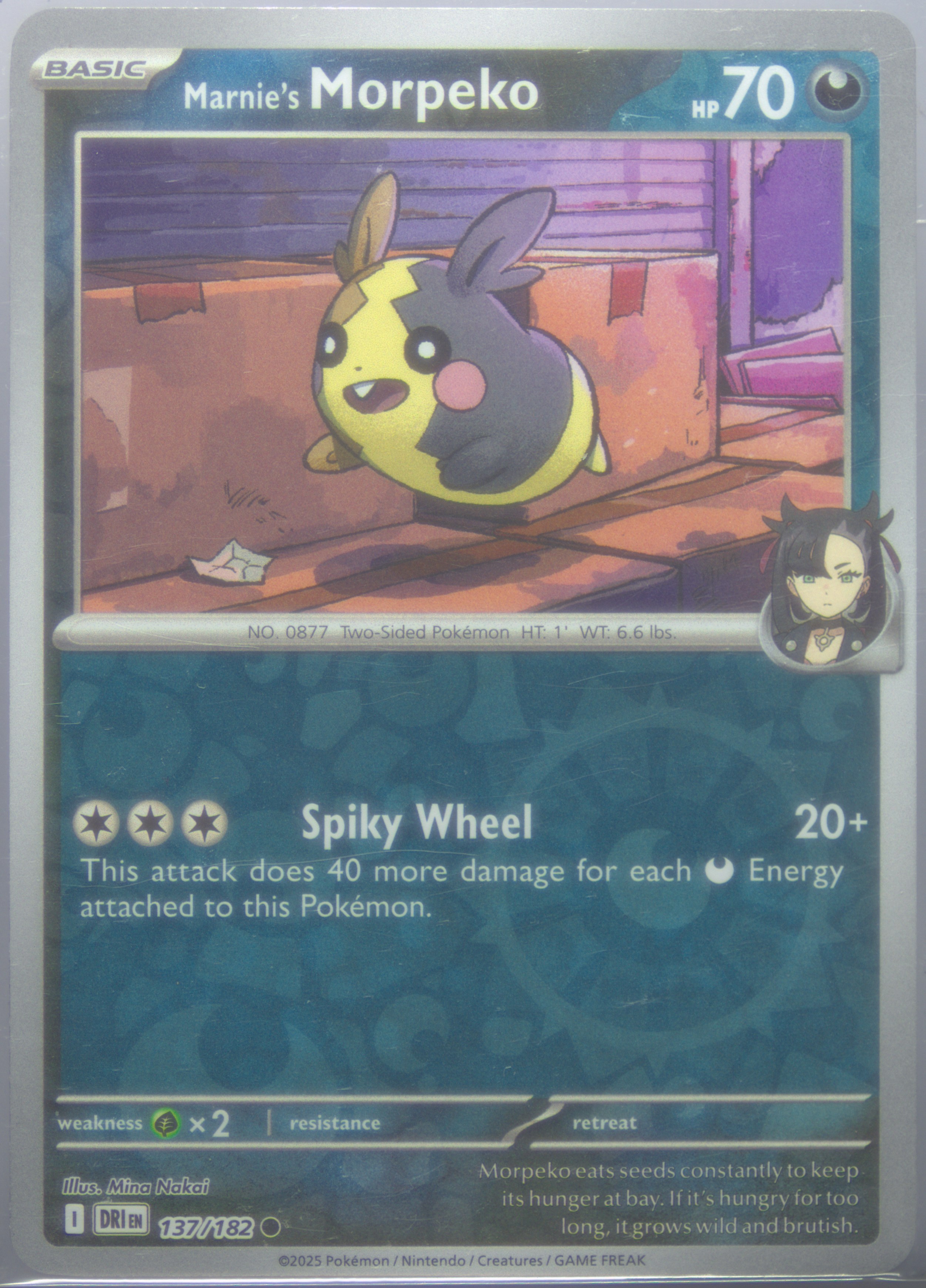 Marnie's Morpeko