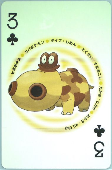 Hippopotas