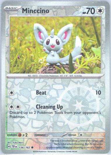 Minccino