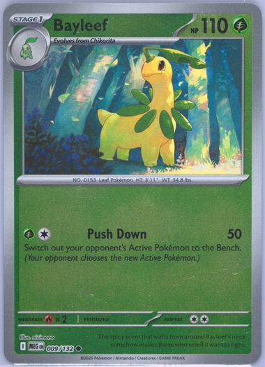 Bayleef